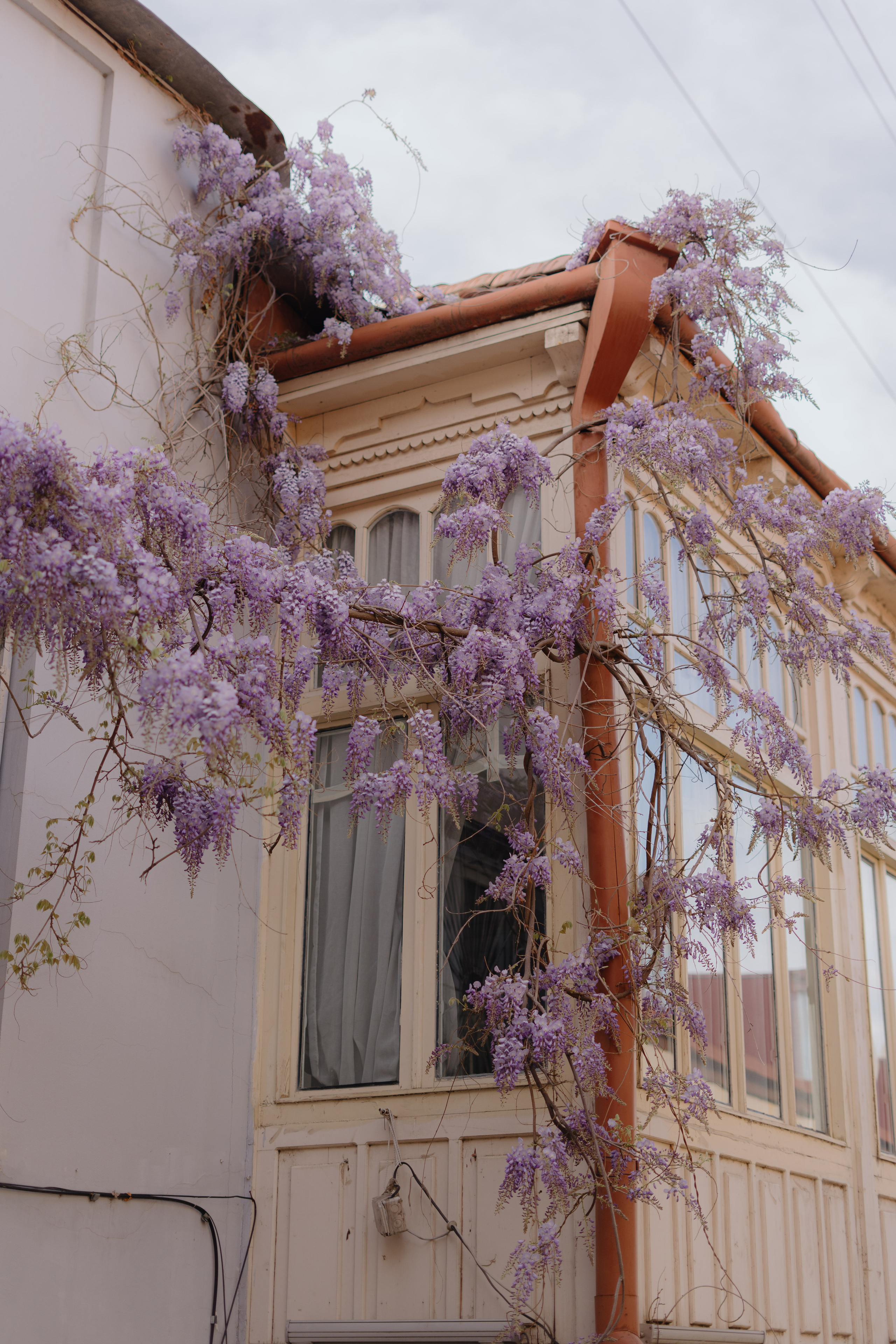 Tbilisi, Spring. Дарья Филькова — фотограф и видеограф в Тбилиси, Грузия