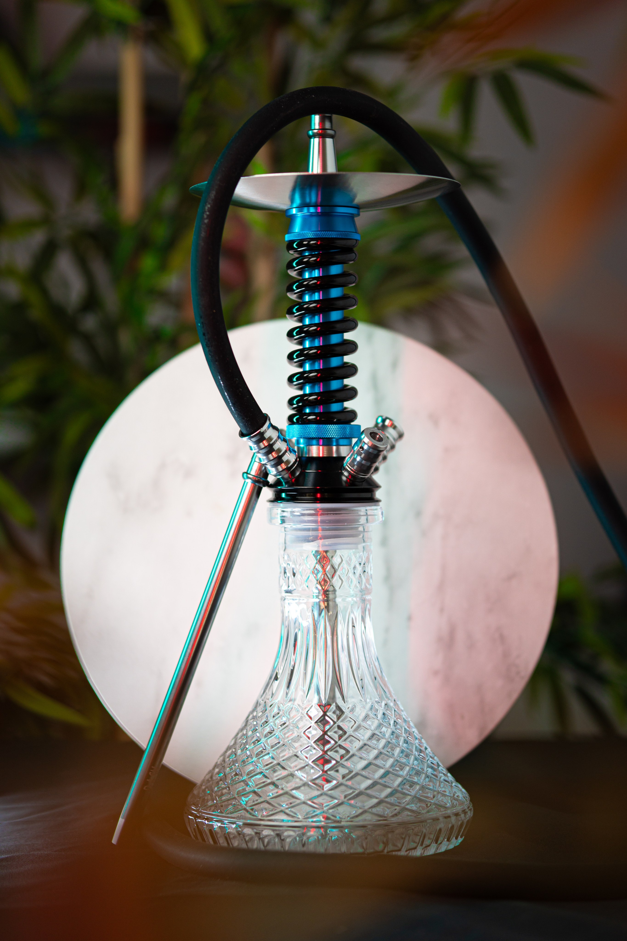 Cachimbas. Baby Beast