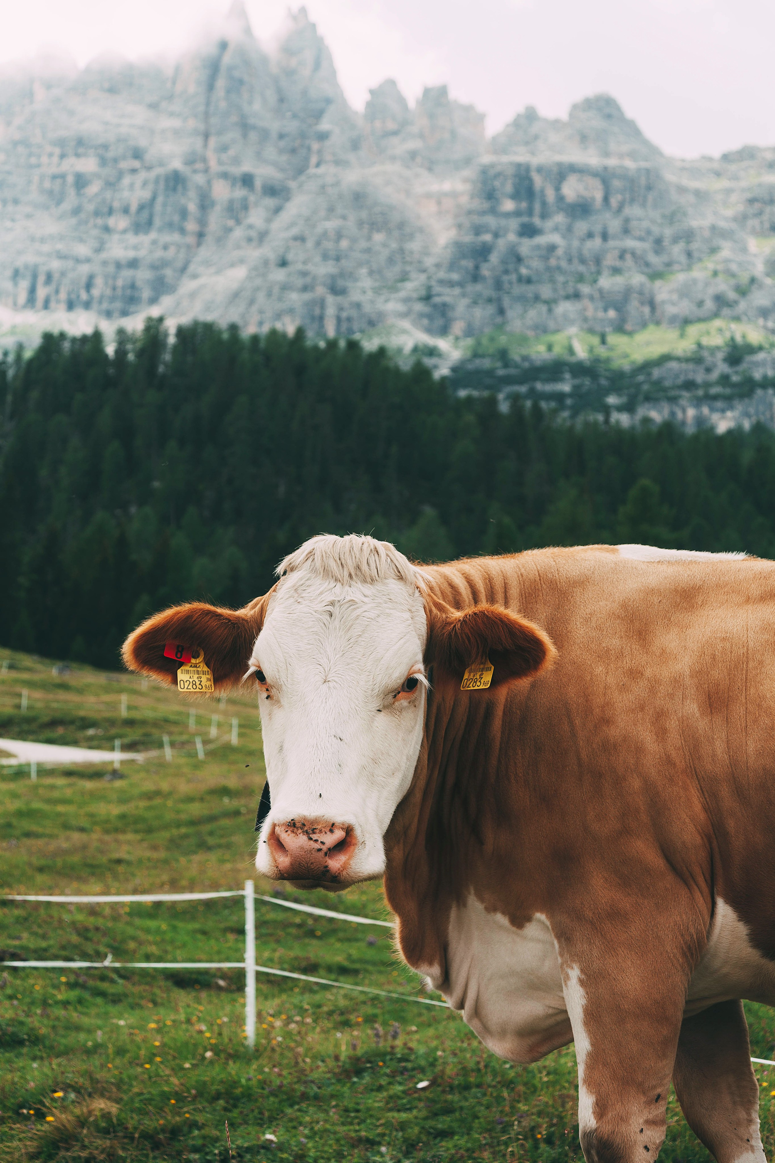 Landscapes. Wedding photographer Lyubov Sun Reutlingen