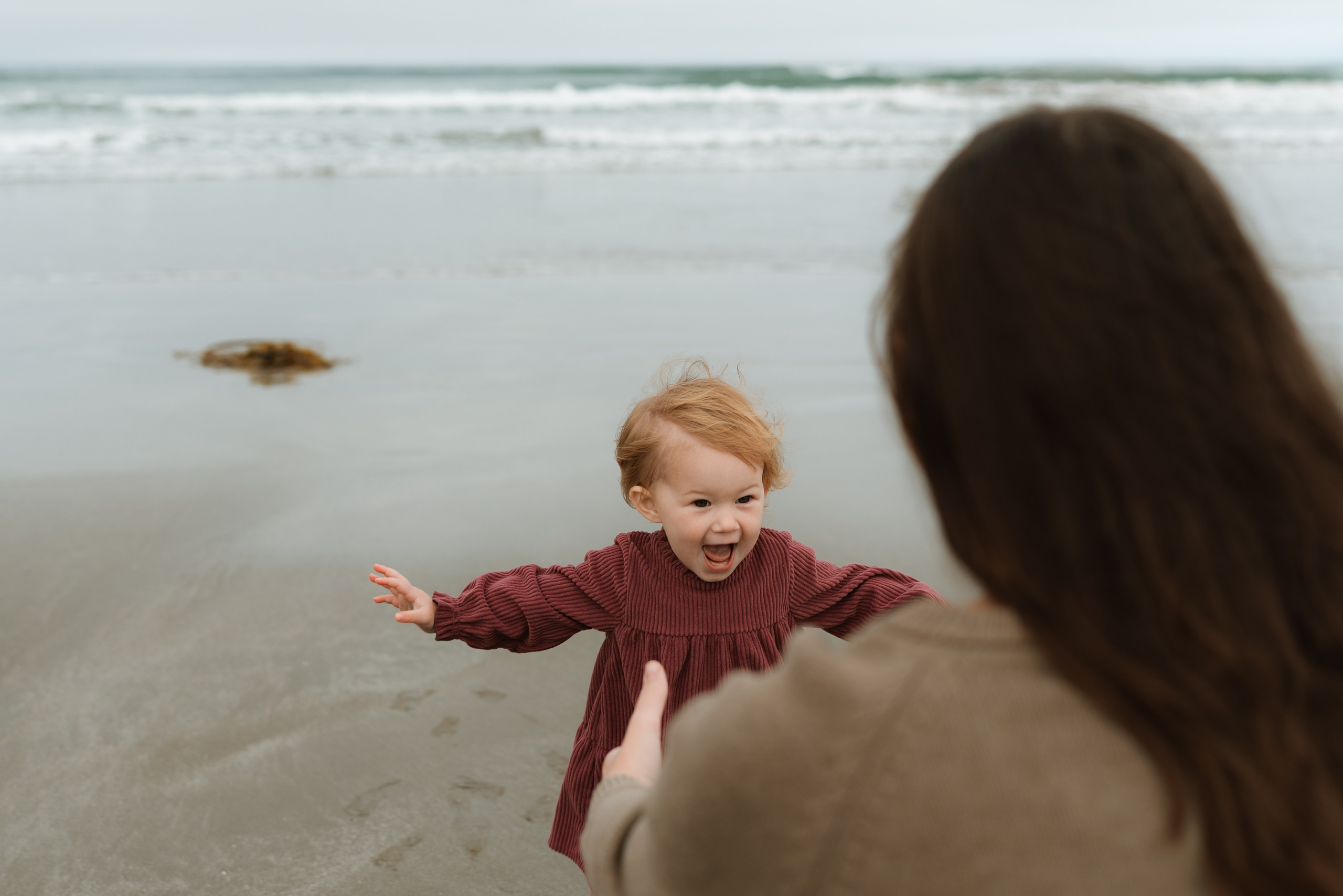 San Francisco Wedding Photography Portfolio | City Hall & Bay Area. Wedding & lifestyle photographer in Bay Area, San Francisco, Santa Cruz