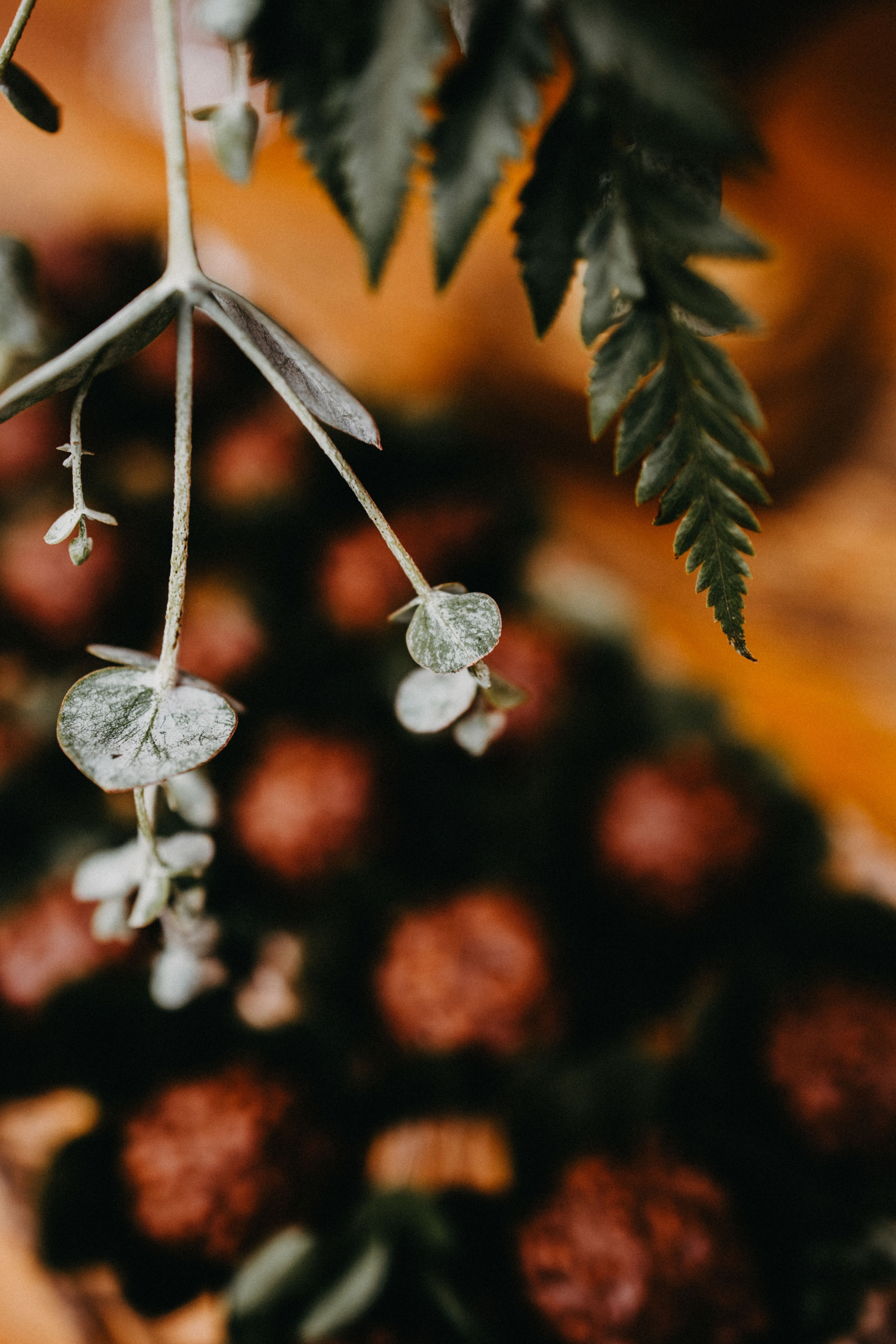 C & H — Leve, calmo e romântico. Fotografia de casamento em Belo Horizonte