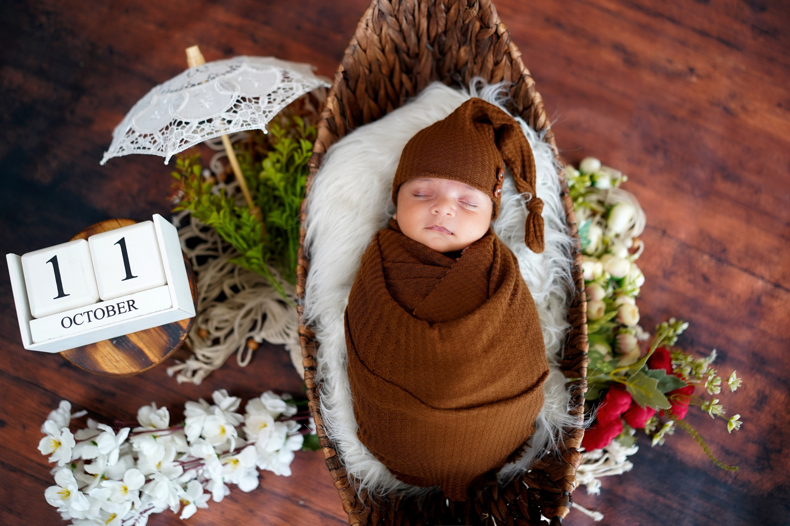 New born. TNF photo & filming