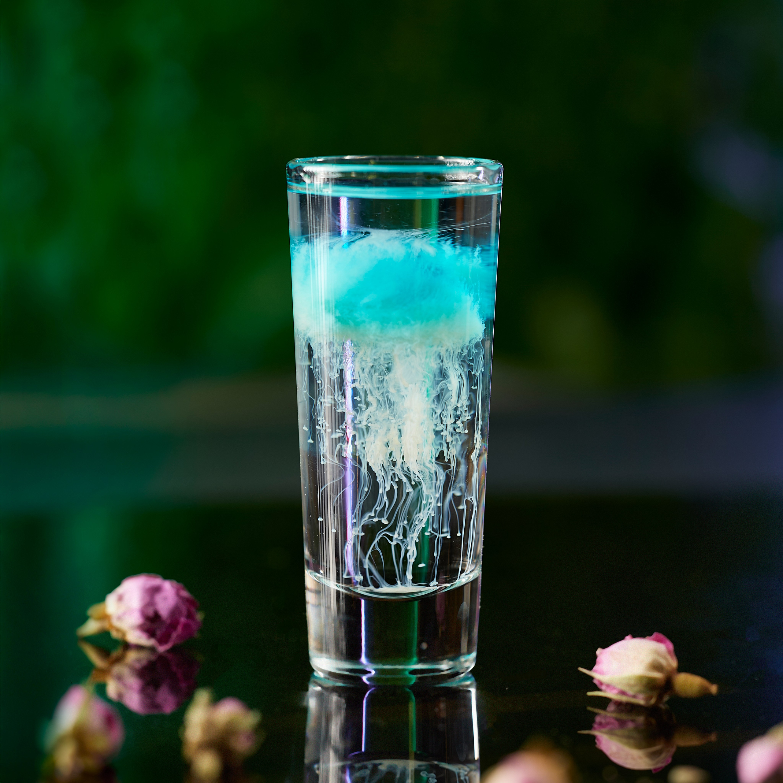 Kaif. Captured by Hallovud