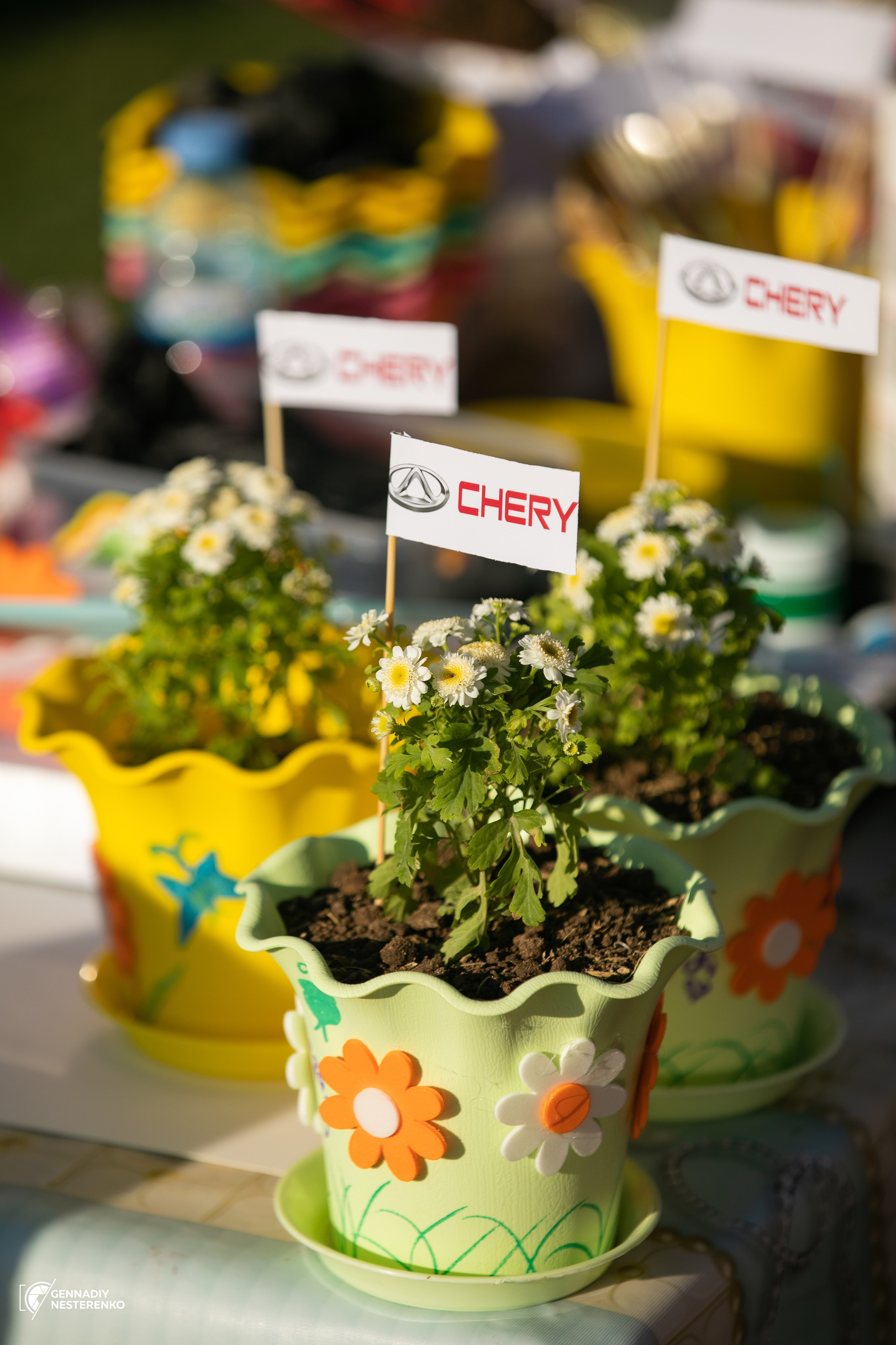 Навруз с CHERY. Профессиональная Фото-Видео Студия Геннадия Нестеренко | Ташкент и Весь Узбекистан