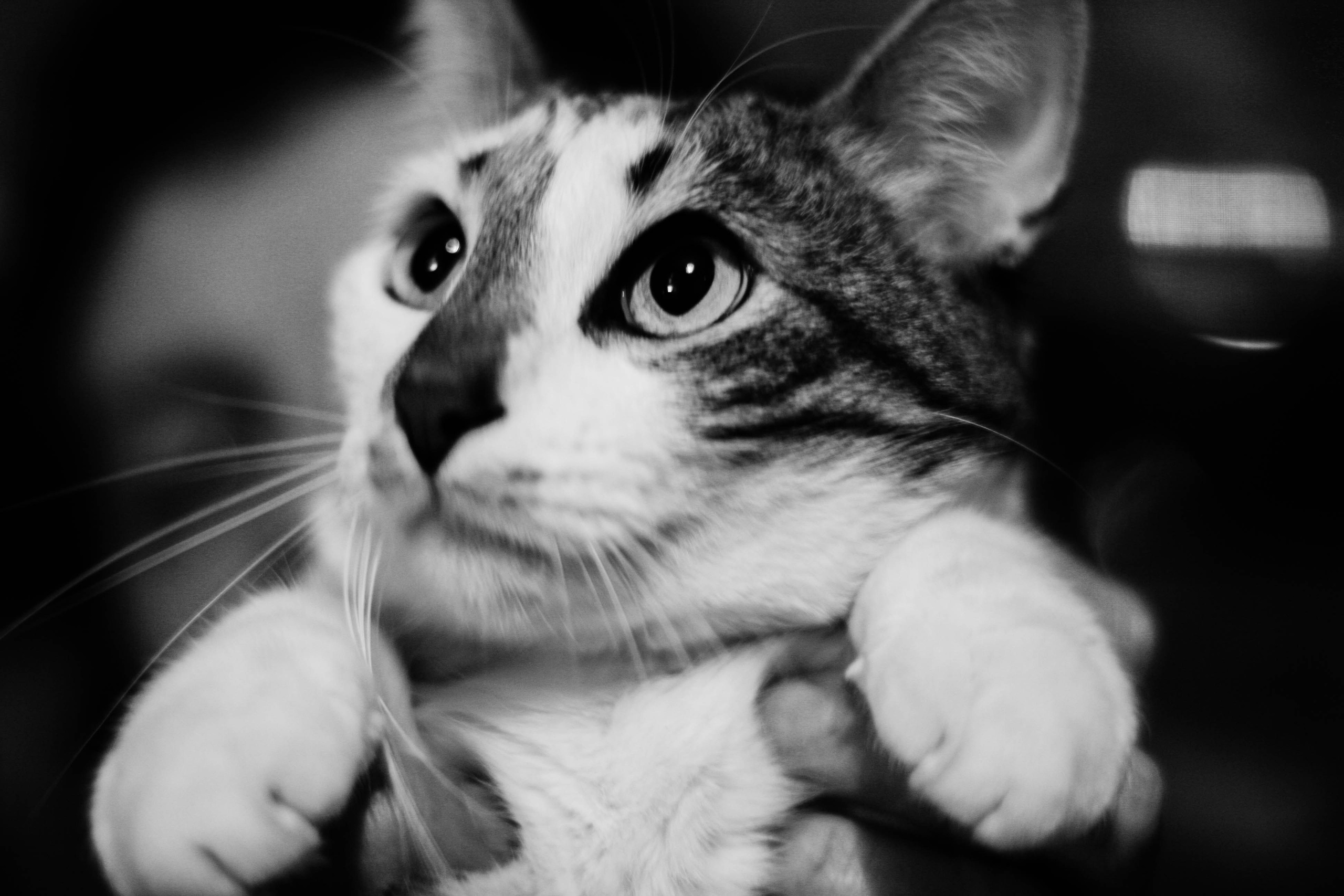 2013. Стрит-фотография, полная абсурда, идиотизма и красоты