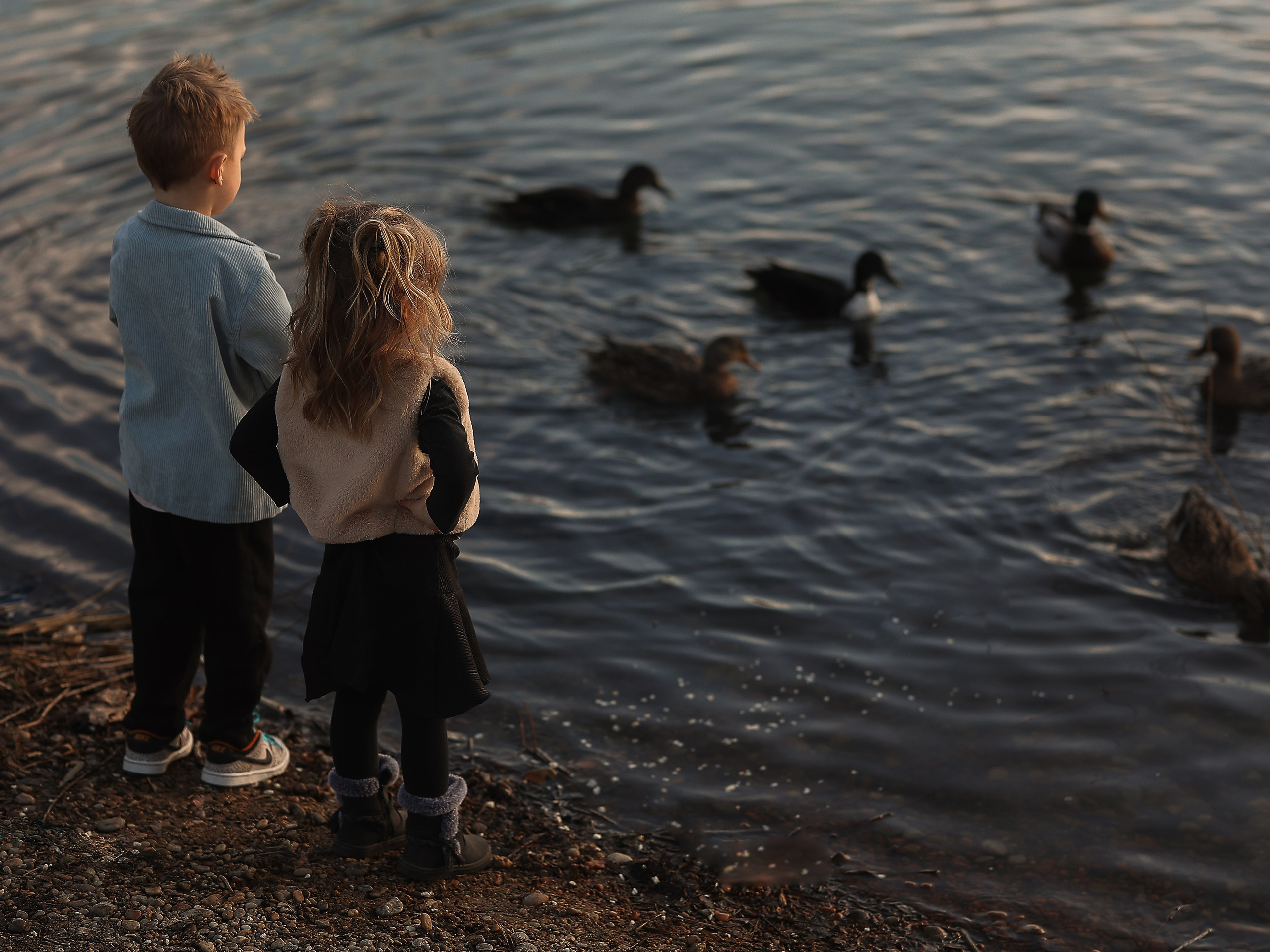 Outdoorshootings | Natürliche Familien-, Kinder- & Portraitfotografie | Albina Vaniyants. Professionelle Familienfotografie, Kinderfotografie und Portraitfotografie in Linz, Oberösterreich - Albina Vaniyants, Fotografin aus OÖ
