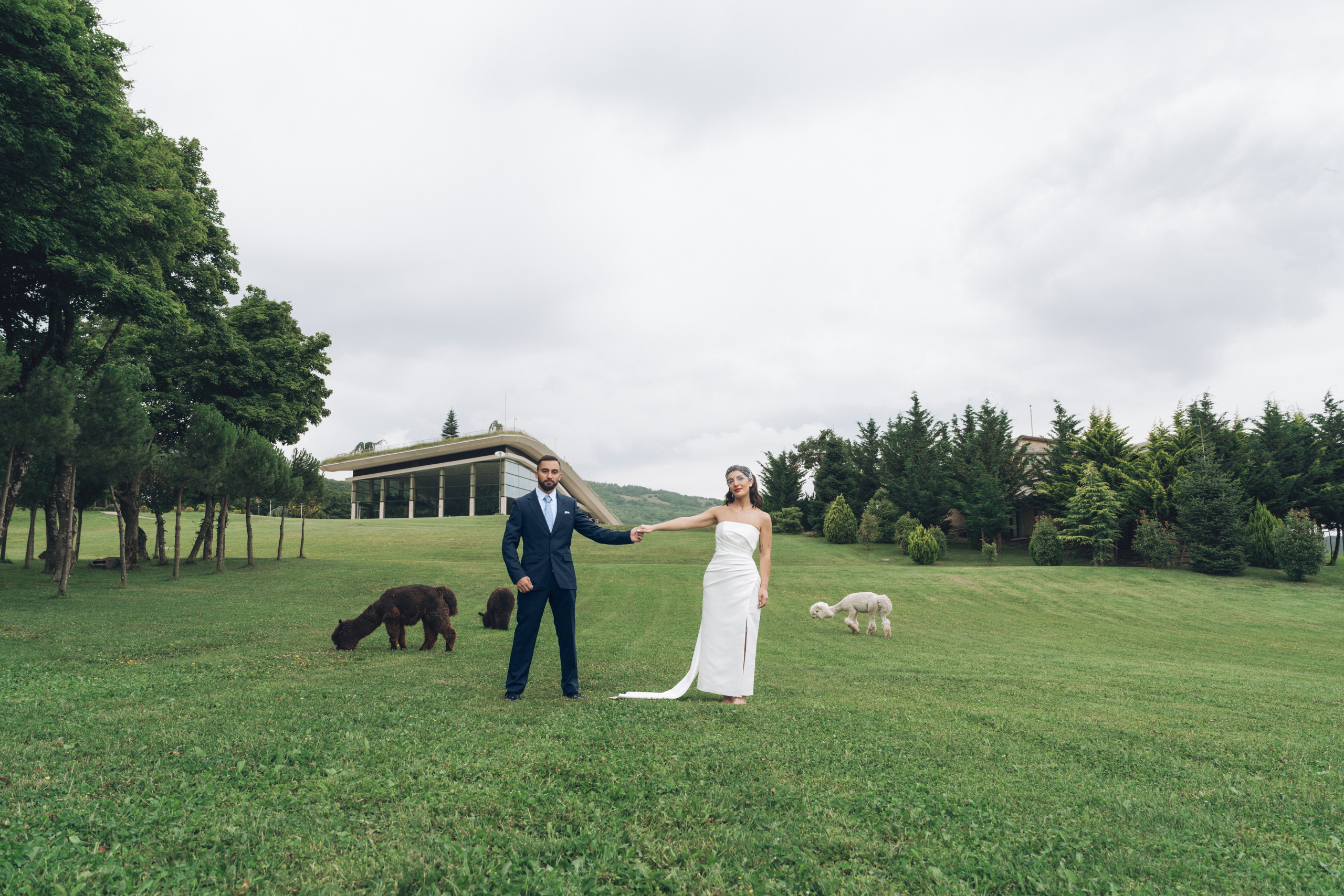 Wedding Bioli. Create your own history with Pierre Studio