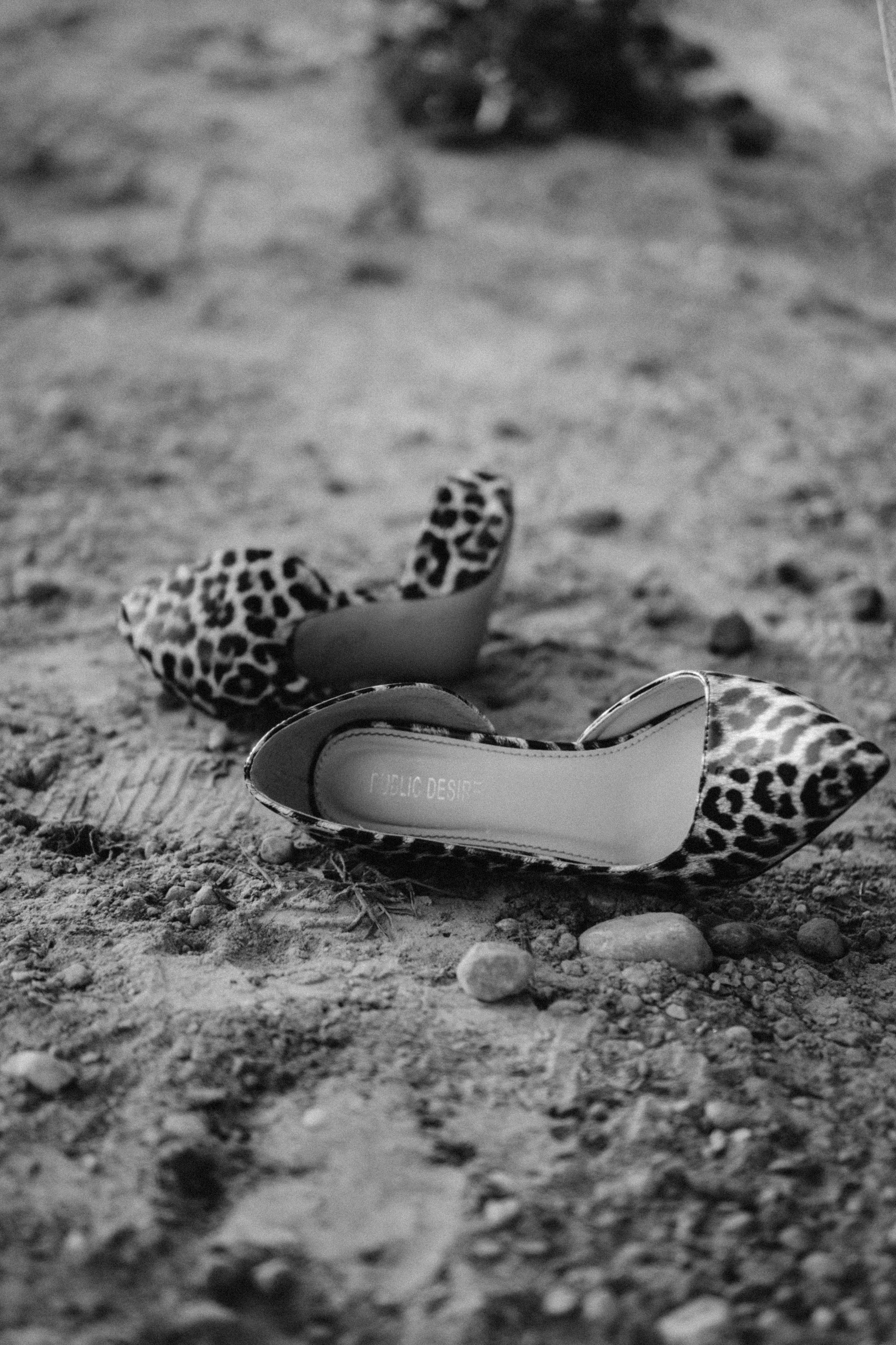 Our fairy tale. Family photographer in Warsaw Sasha Zenzina