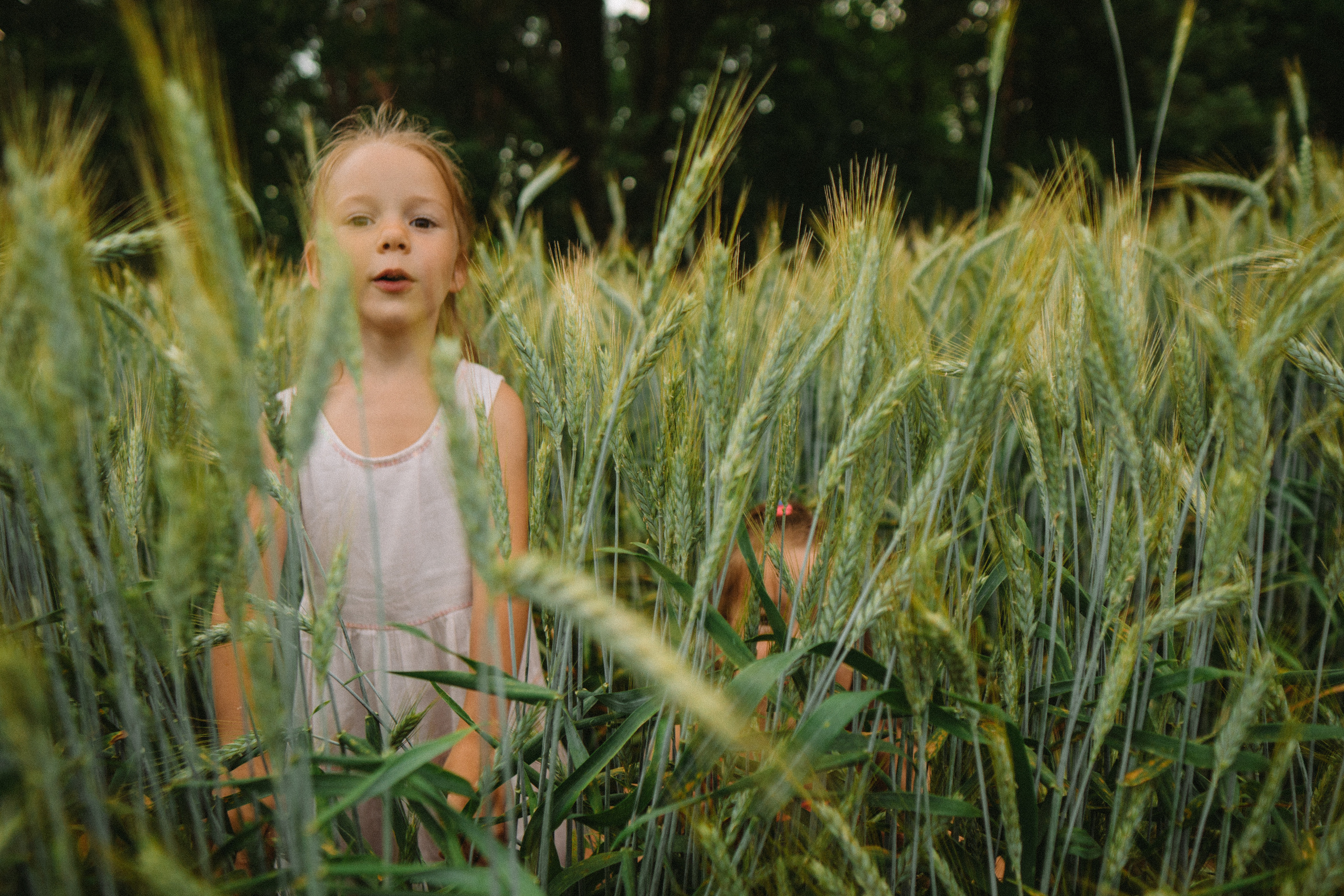 We and the summer. Family photographer in Warsaw Sasha Zenzina