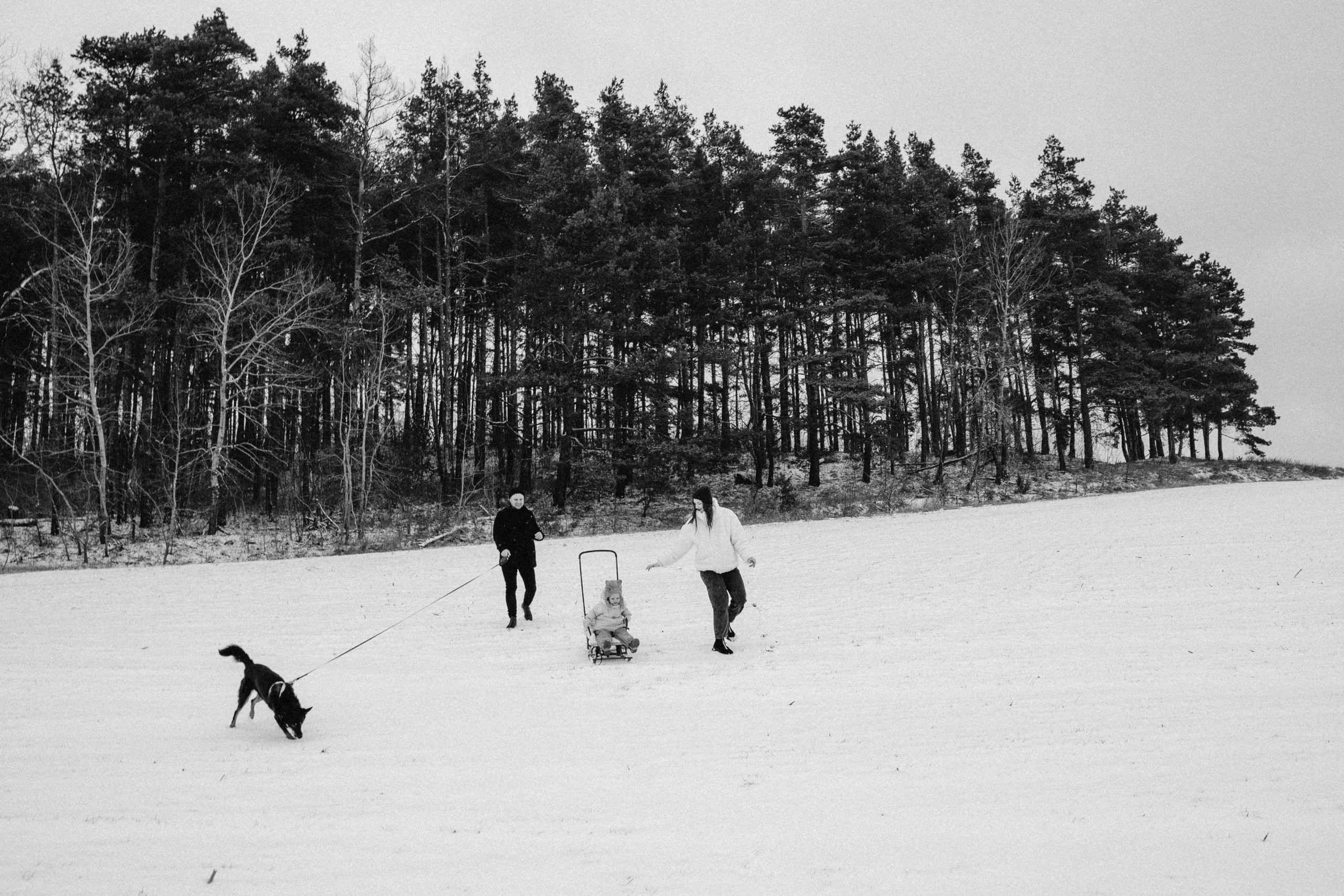 Winter happines. Family photographer in Warsaw Sasha Zenzina