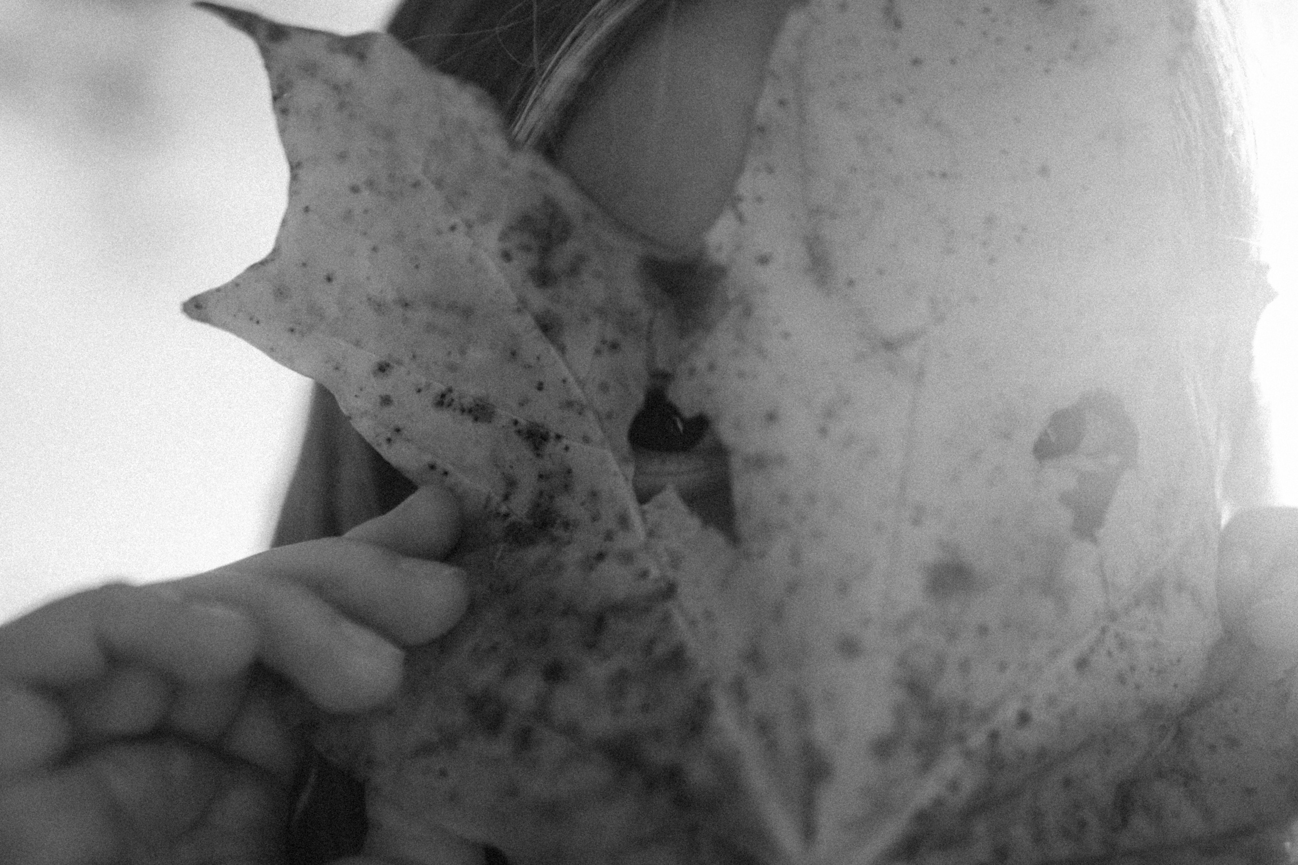 When autumn leaves start to fall. Family photographer in Warsaw Sasha Zenzina