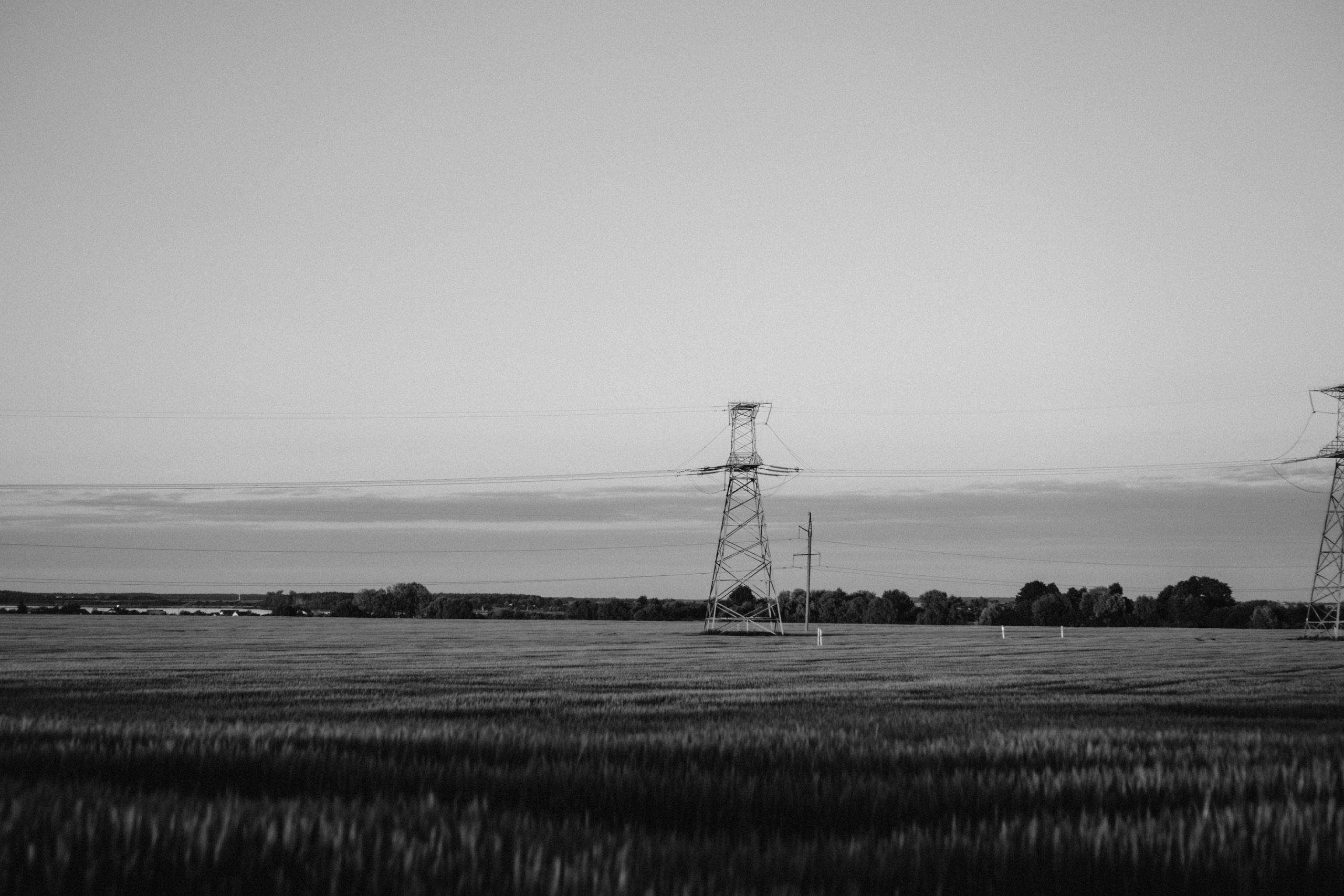 Love whisper. Family photographer in Warsaw Sasha Zenzina