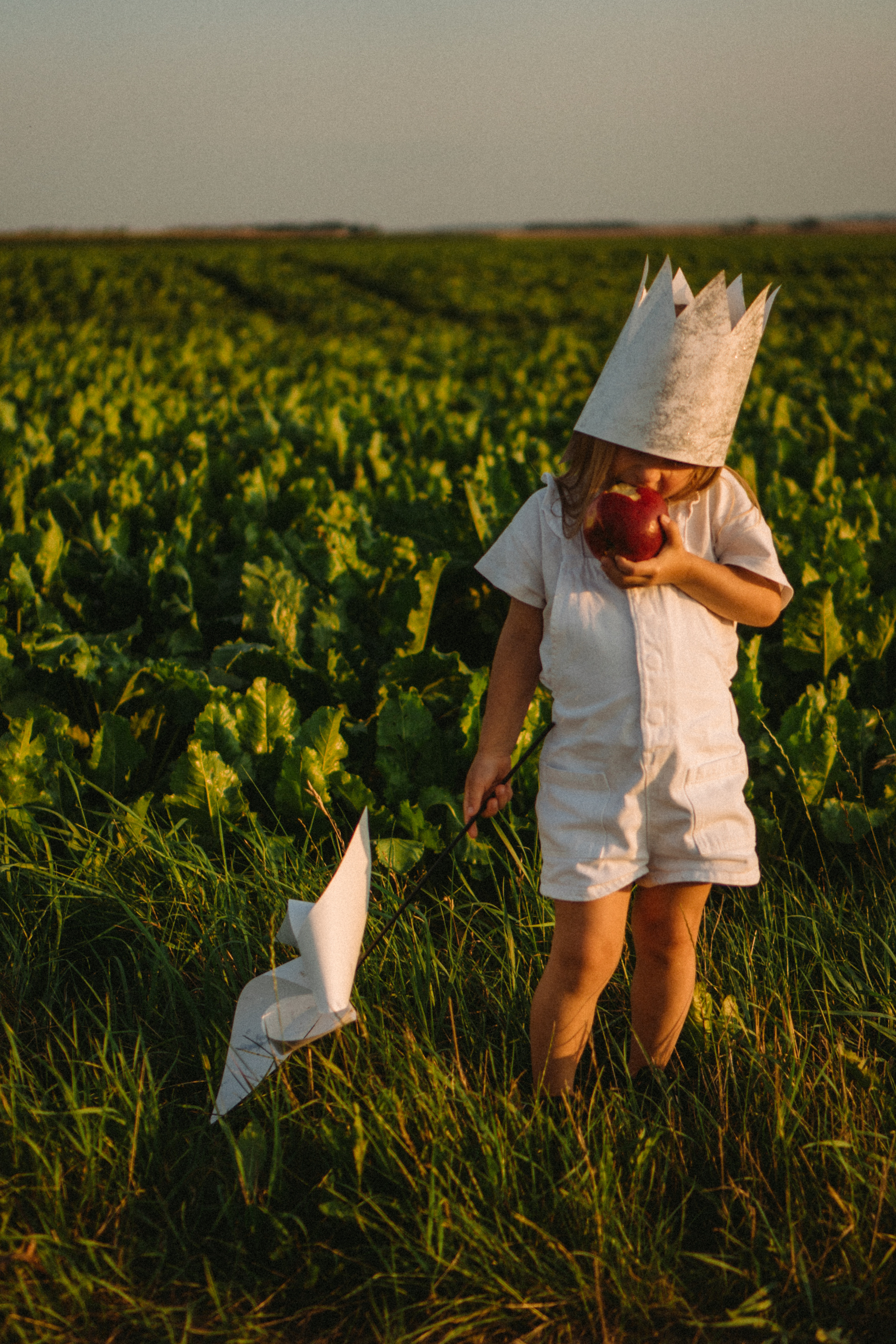 Our fairy tale. Family photographer in Warsaw Sasha Zenzina