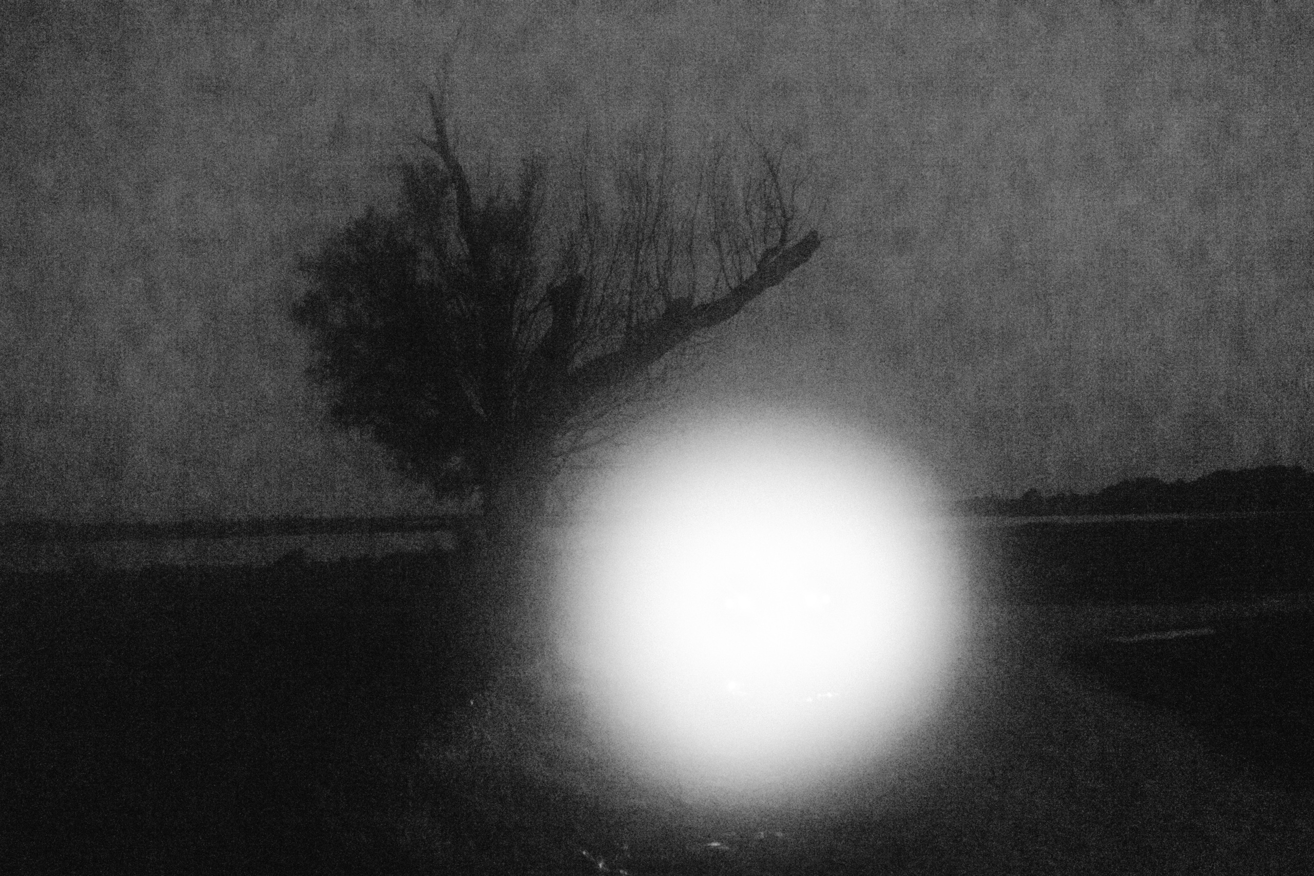 Love whisper. Family photographer in Warsaw Sasha Zenzina