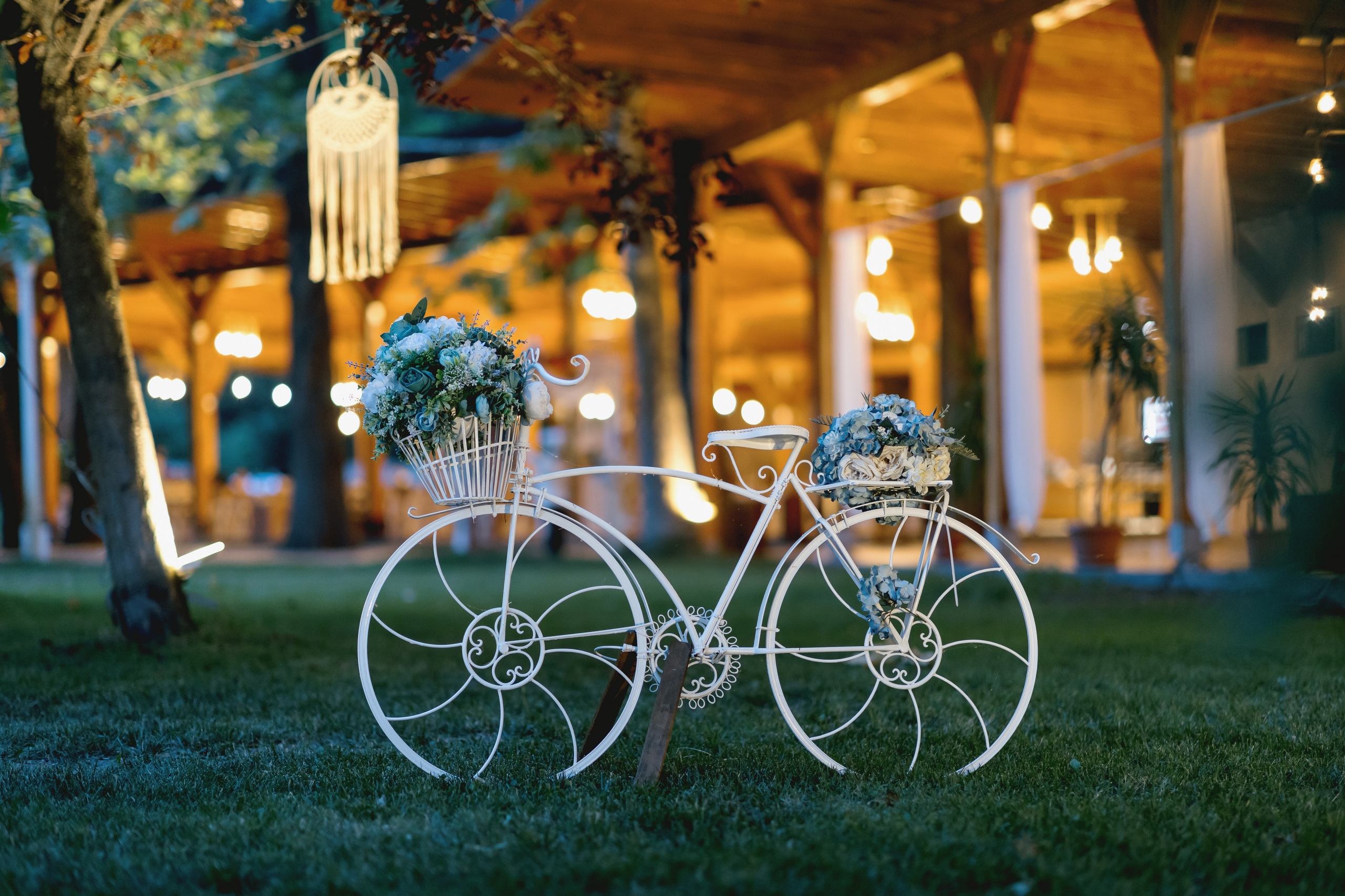 Nuntă de poveste la Cernica: Malina și Alex își spun „DA” înconjurați. MDimaFotoStudio. Fotograf de nuntă, evenimente private și de familie