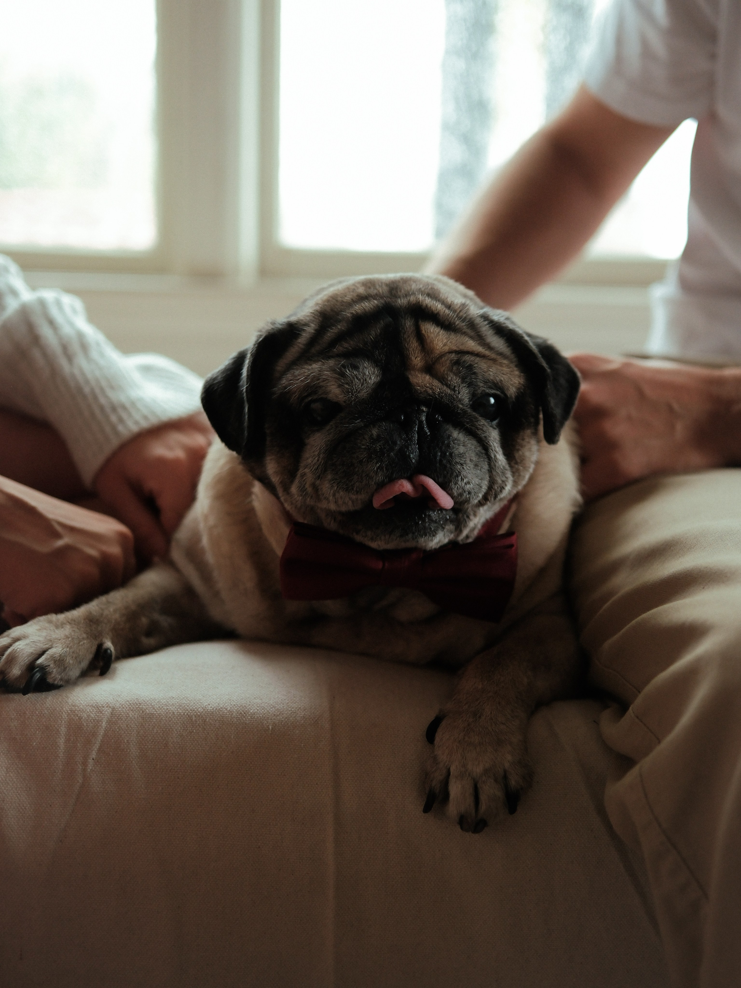 Оля и Дима. Mariia Ermakoava