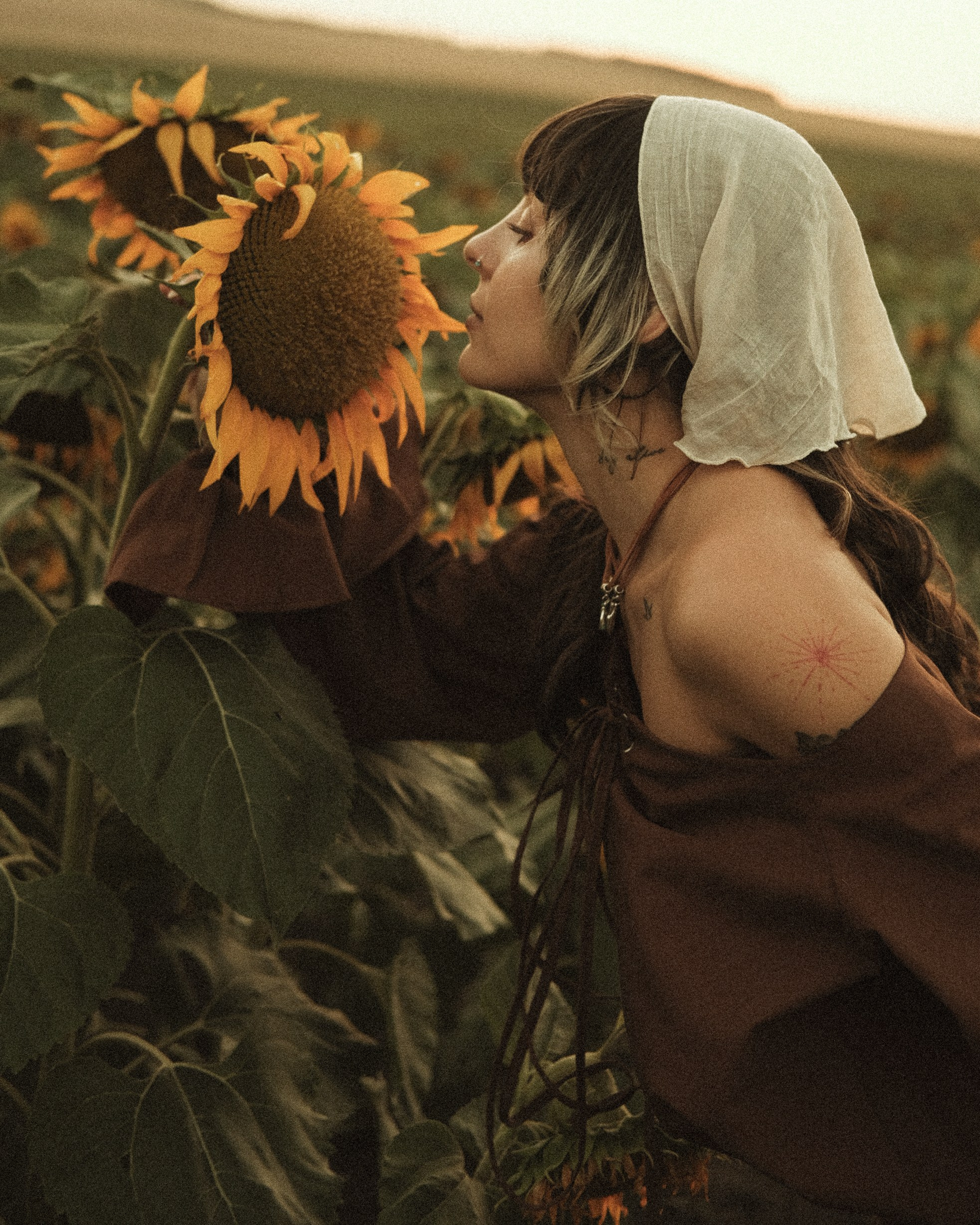 In sunflowers | Meri. Главная