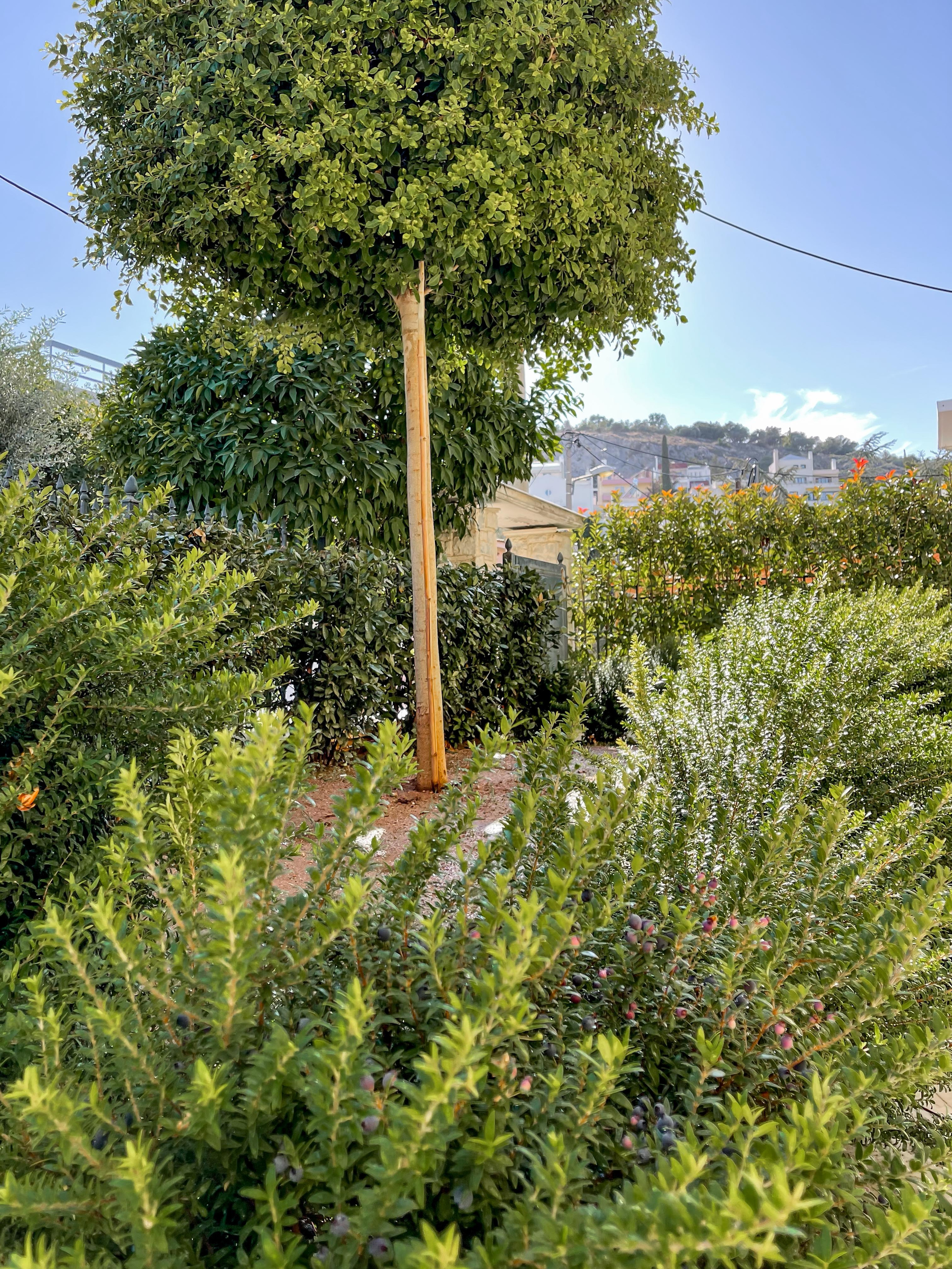 Κήπος Ψυχικό. Geoponitikon-Όταν η Επιστήμη συναντά την Τέχνη στο Φυσικό Τοπίο!