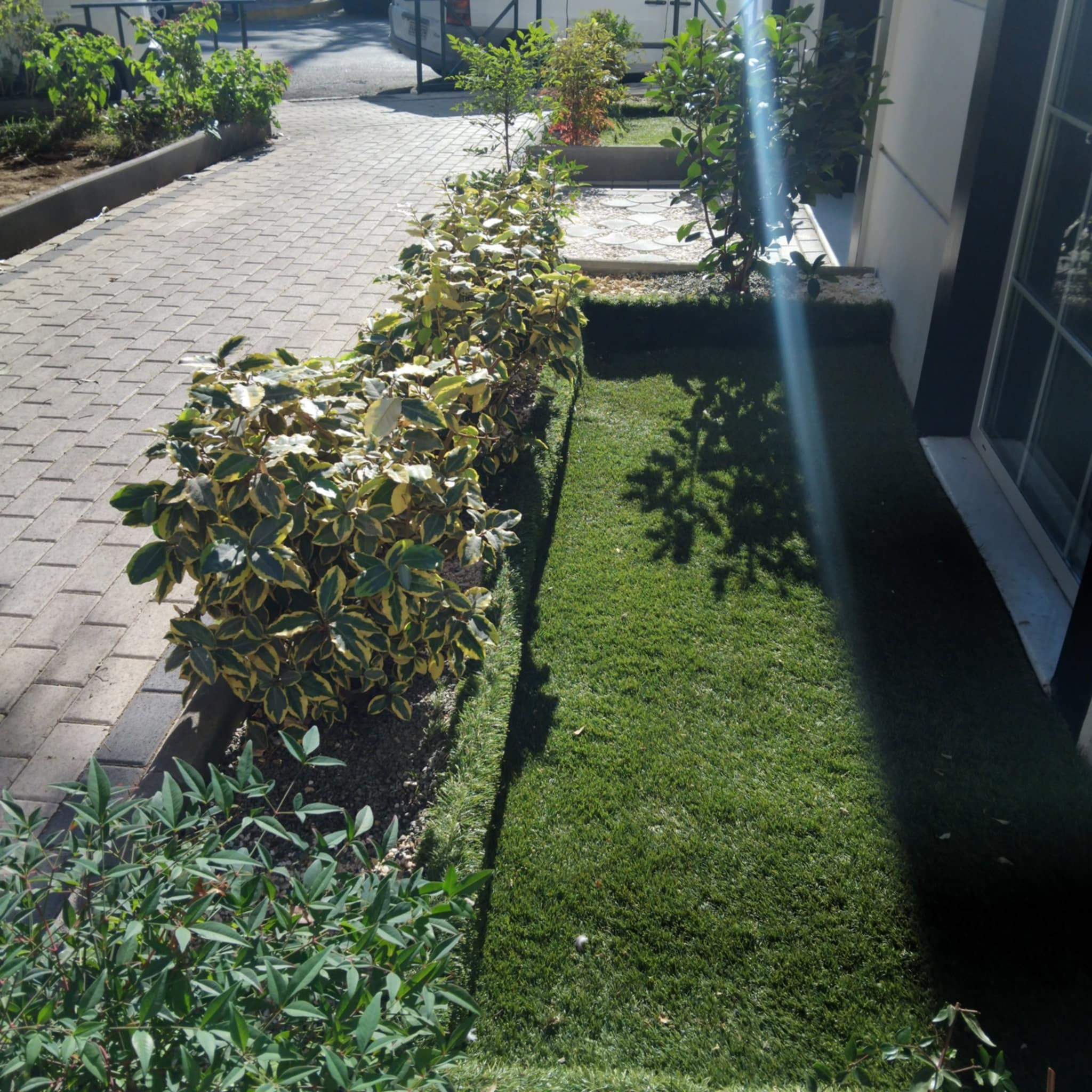 Κήπος Καμίνια. Geoponitikon-Όταν η Επιστήμη συναντά την Τέχνη στο Φυσικό Τοπίο!