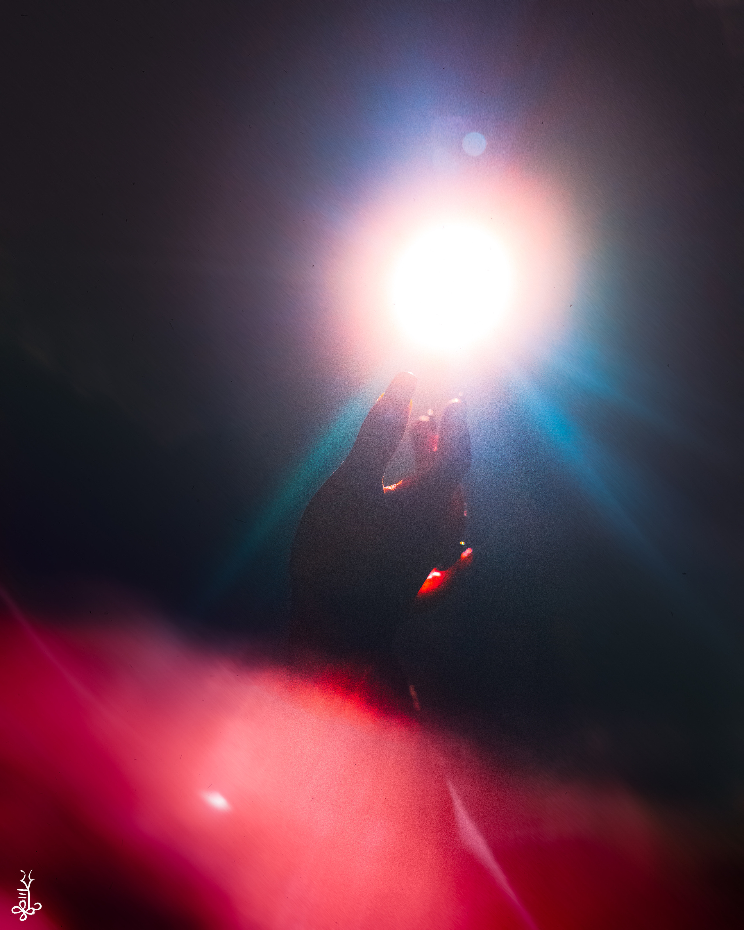 JADA TIPPMANN photographed by Ke'Ondris