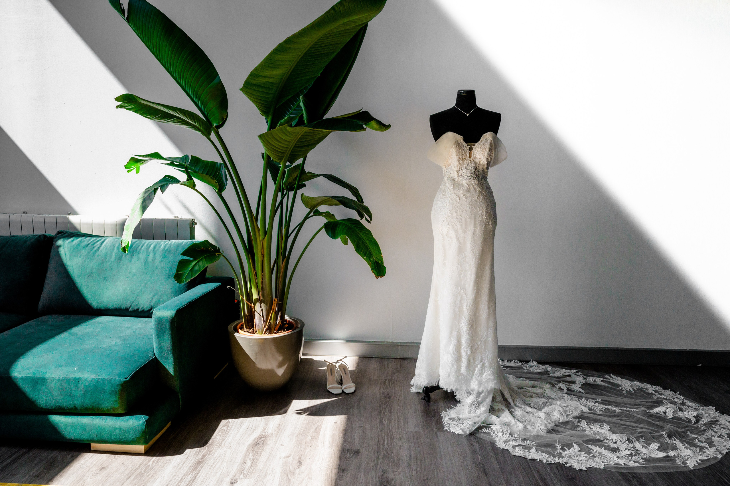 BYZO MEDIA. PETRU BYZO - family and children photographer in ROMANIA