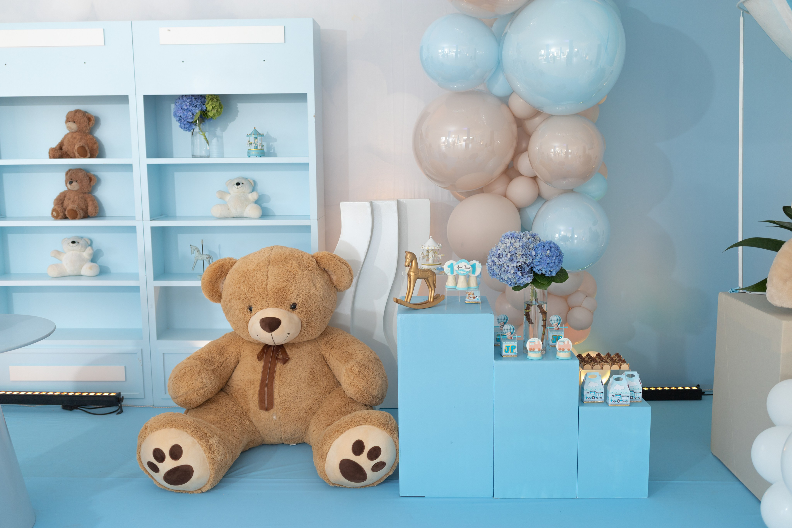 José Pedro 1 aninho. Bem-vindo ao Meu Mundo Fotográfico