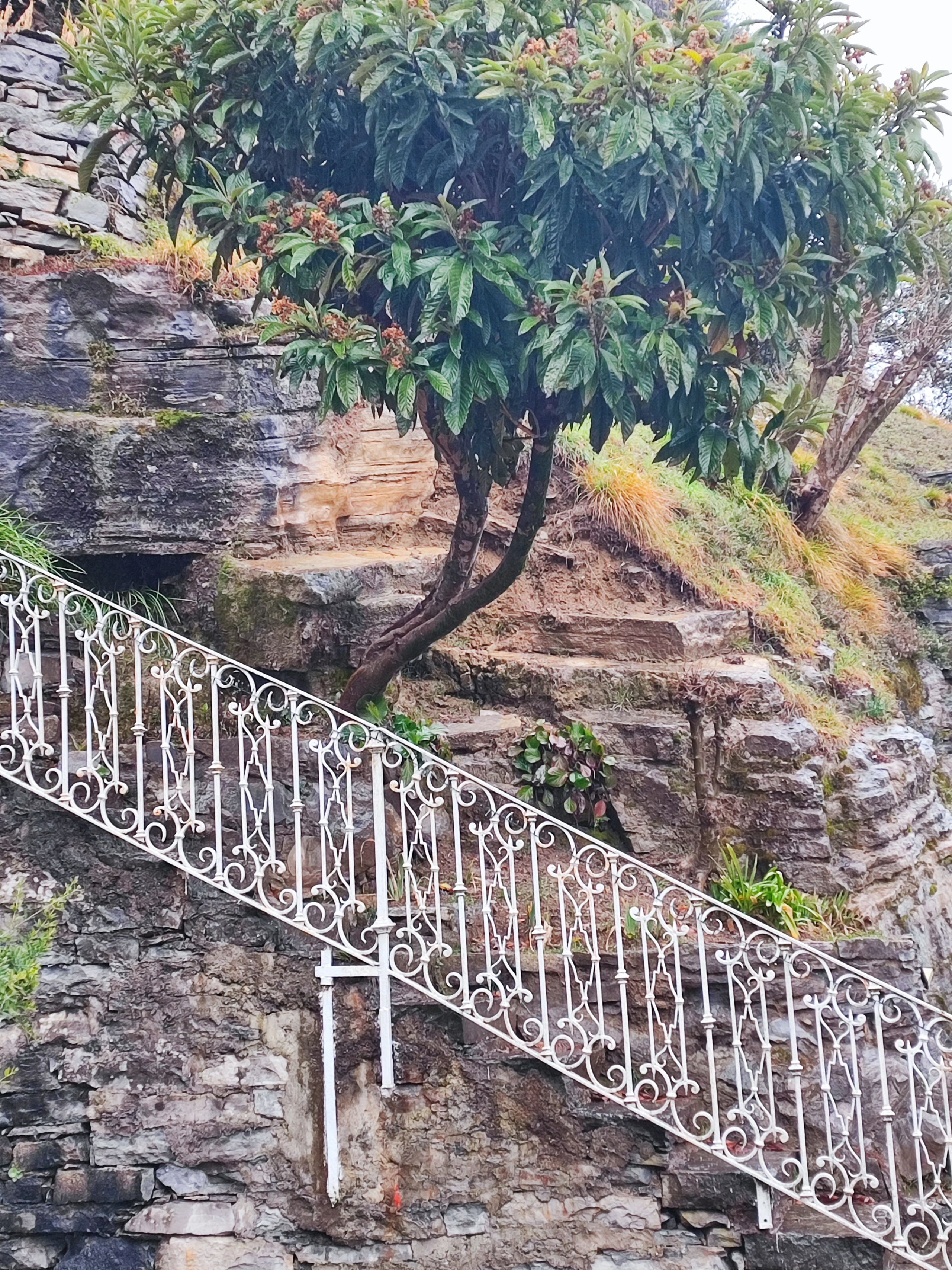 Villa Zaffiro project. Wedding and proposal photographer Italy Como Milan Pavia Bergamo Tuscany Marija Galaka