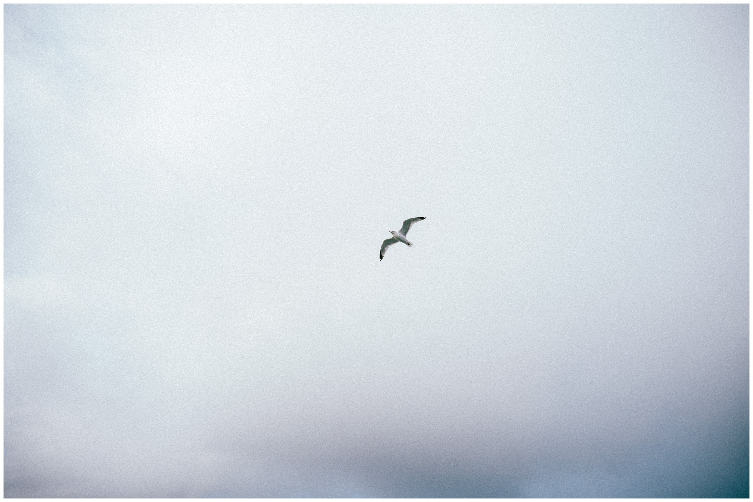 IRELAND. Inna Mendelson — Photographer