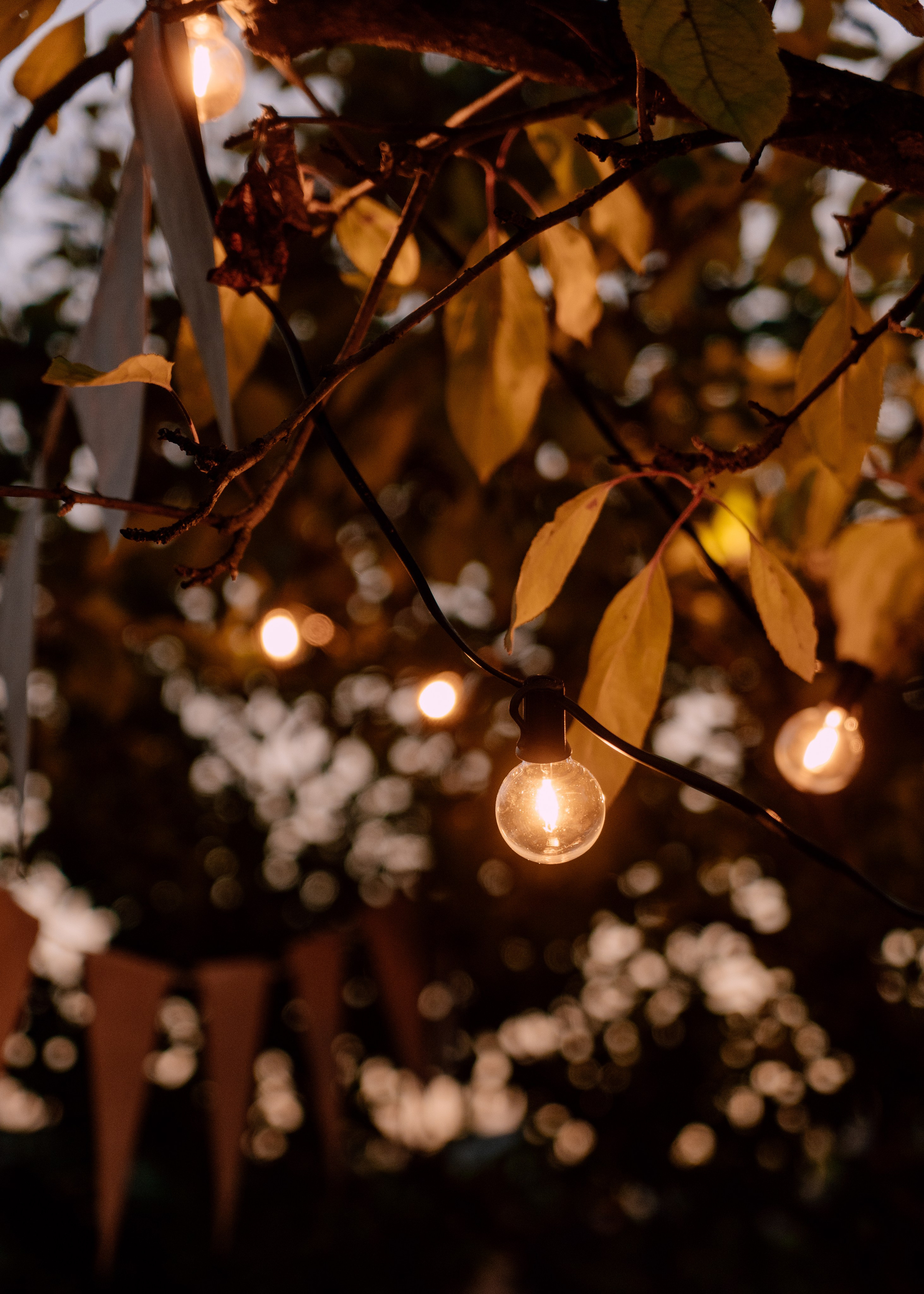 День Рождения Бори. YAADELINA Фотограф Аделина Багдасарян