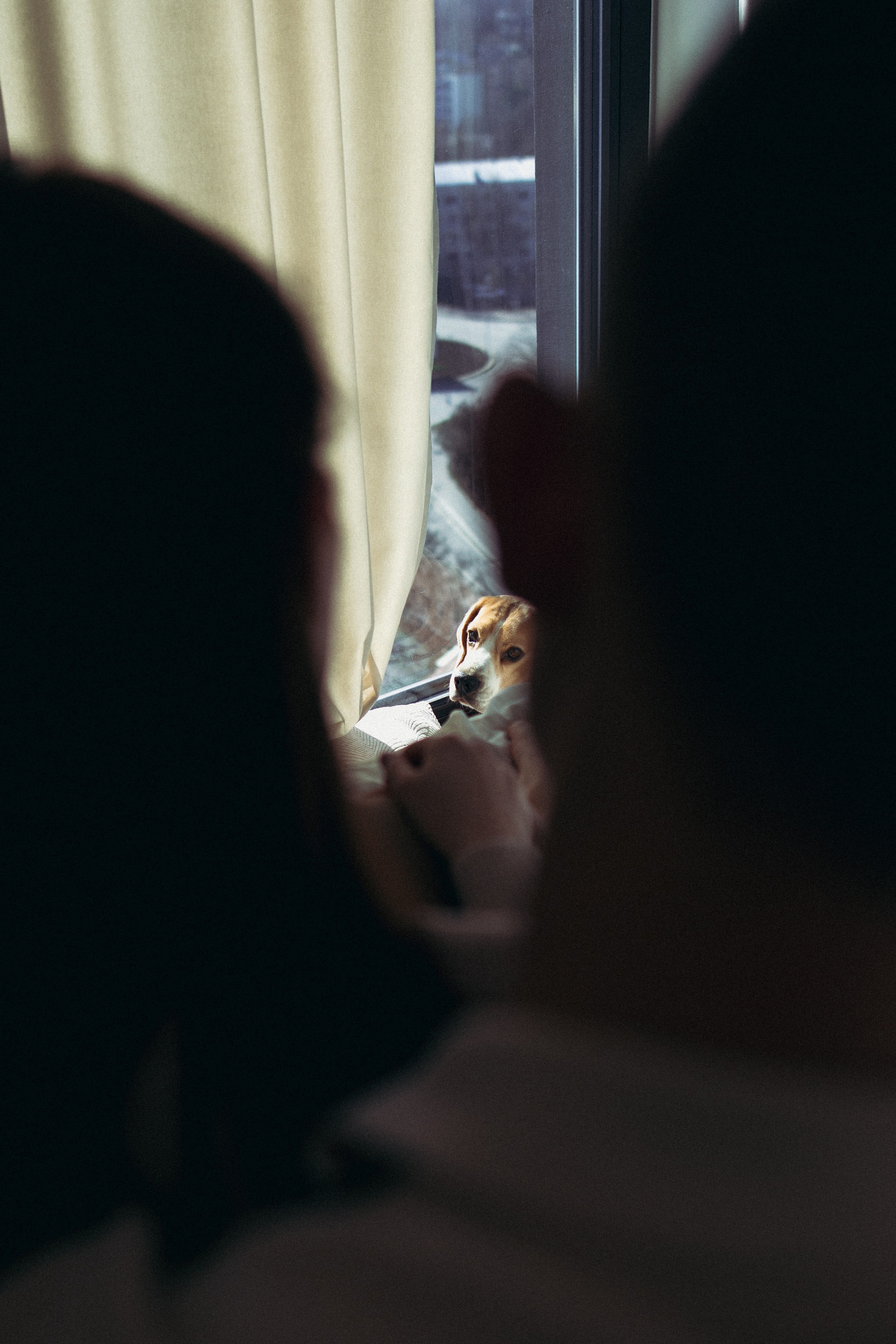 Никита и Кетрин. Главная