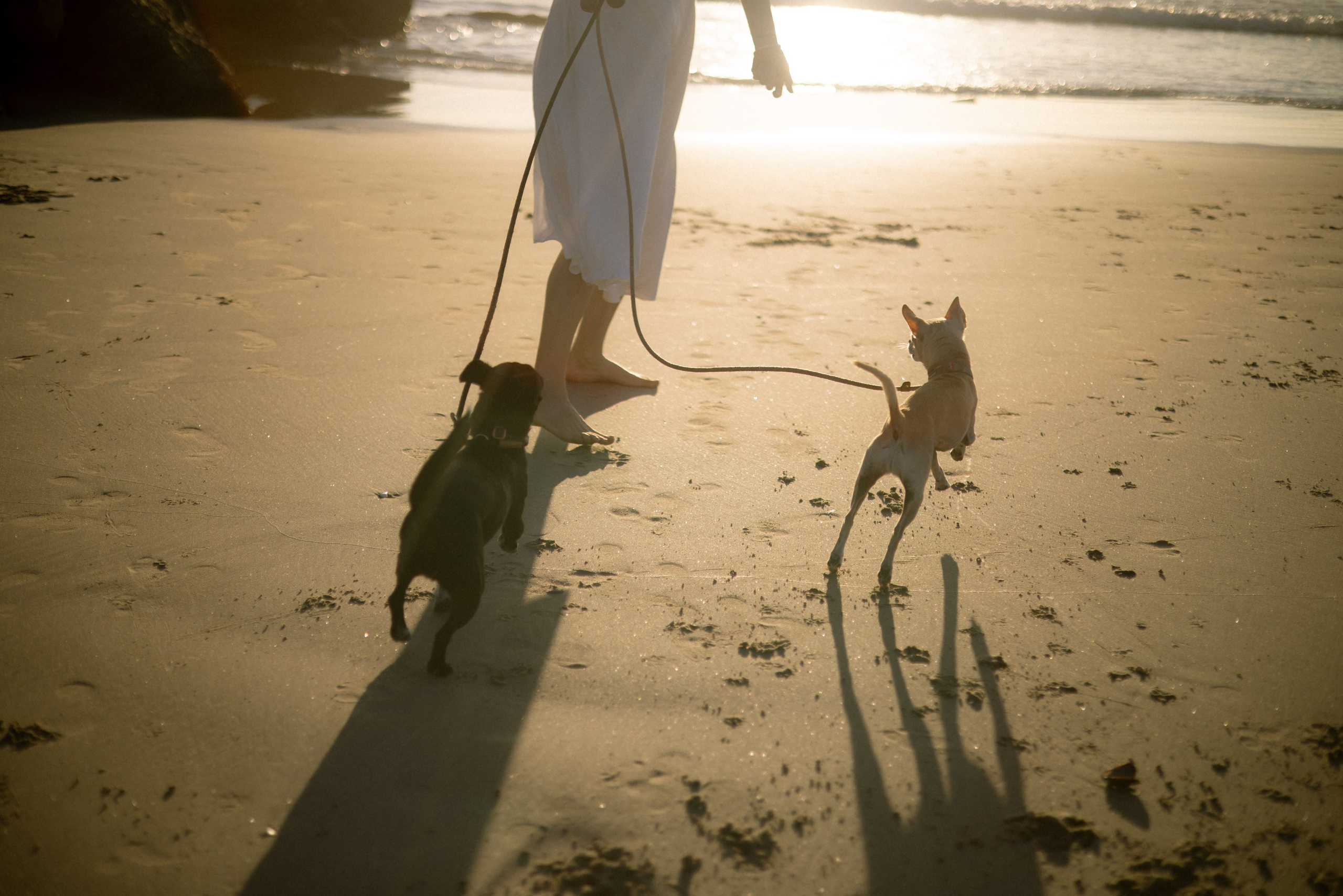 Gillian, Baby & Delilah | Venice Beach. Photographer in Los Angeles. Julia Ishmuratova