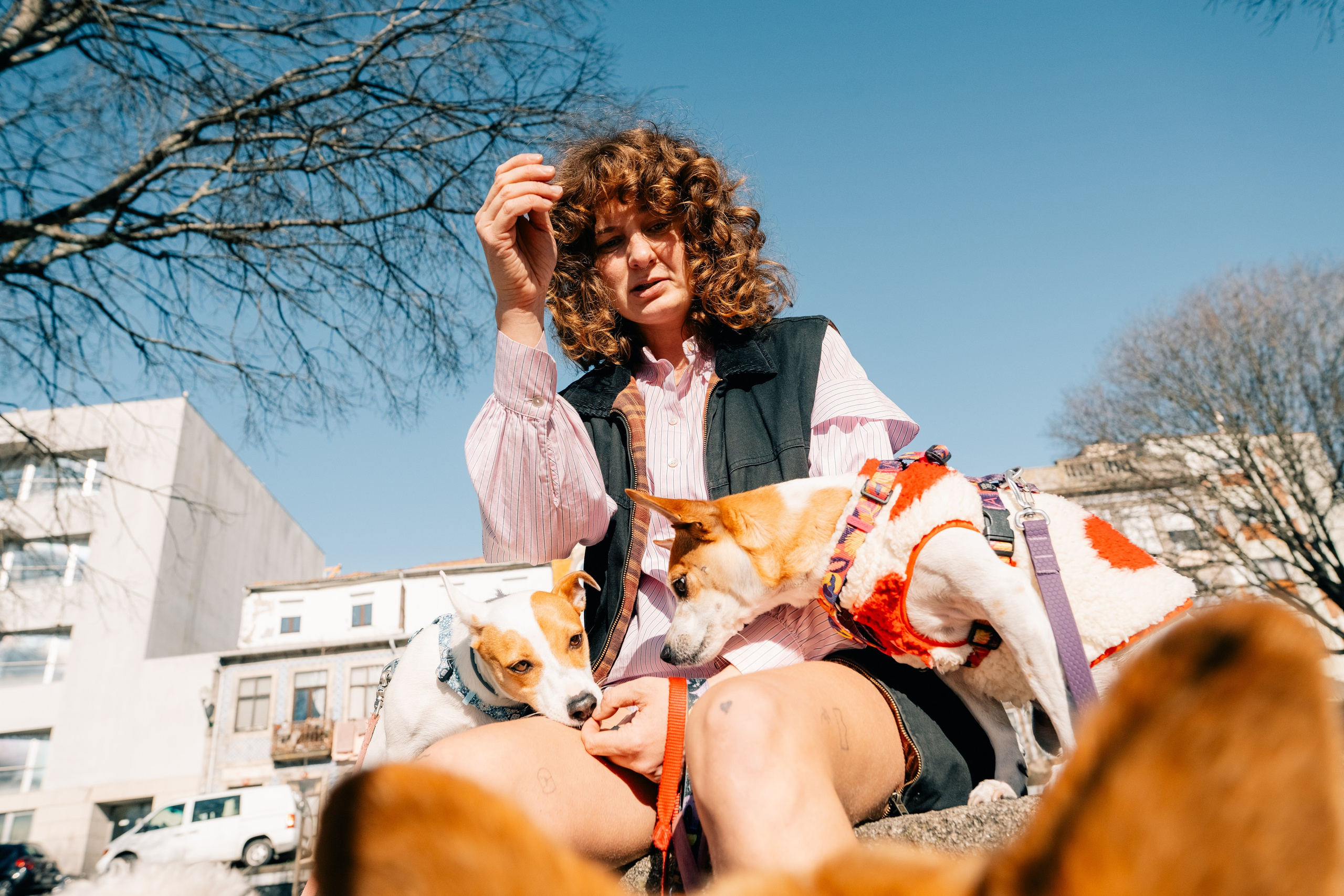 Yana & Doggos in Bonfim. Maria Sher. Professional photographer from Porto, Portugal