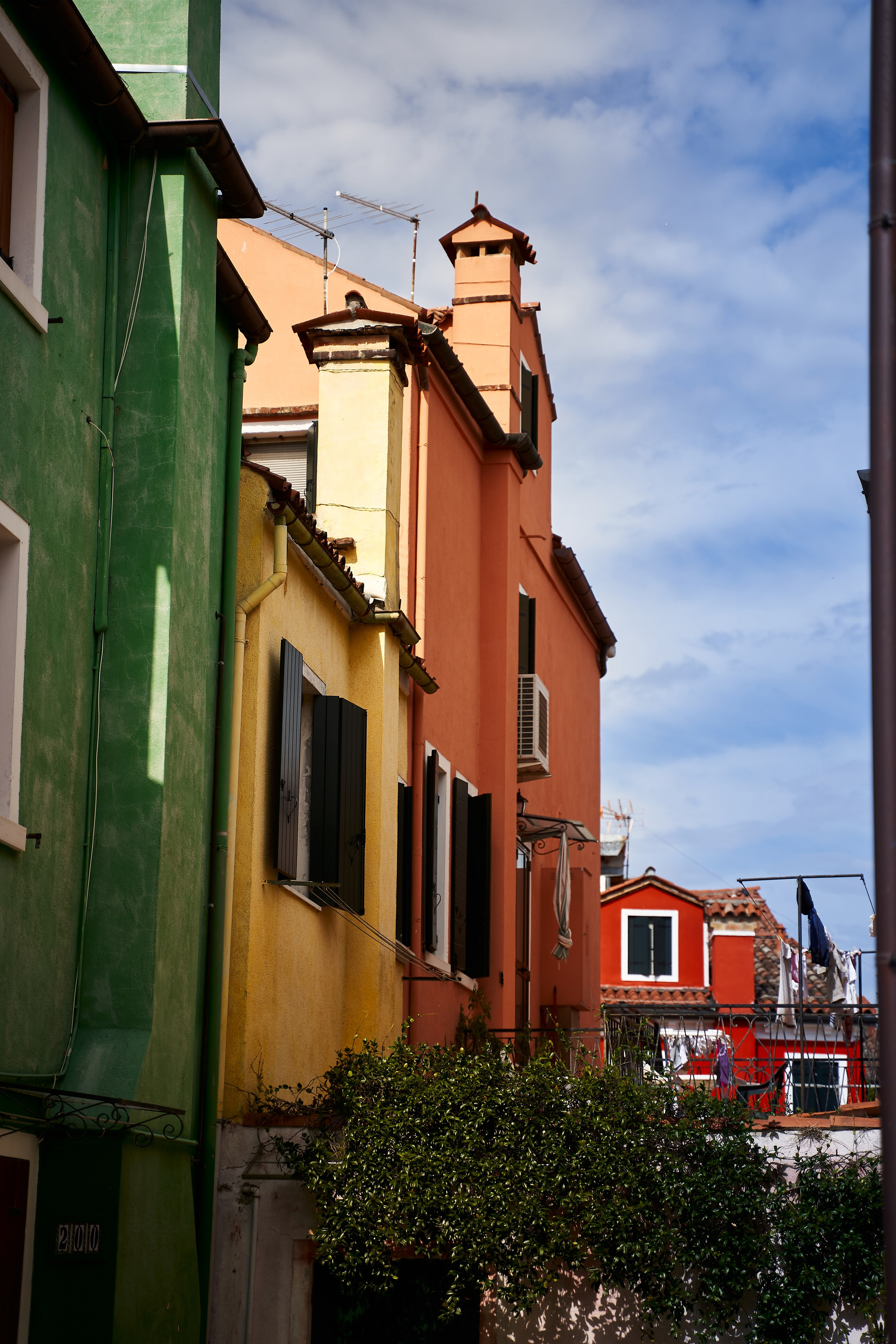 Italy. Denshyr — Visual Artist