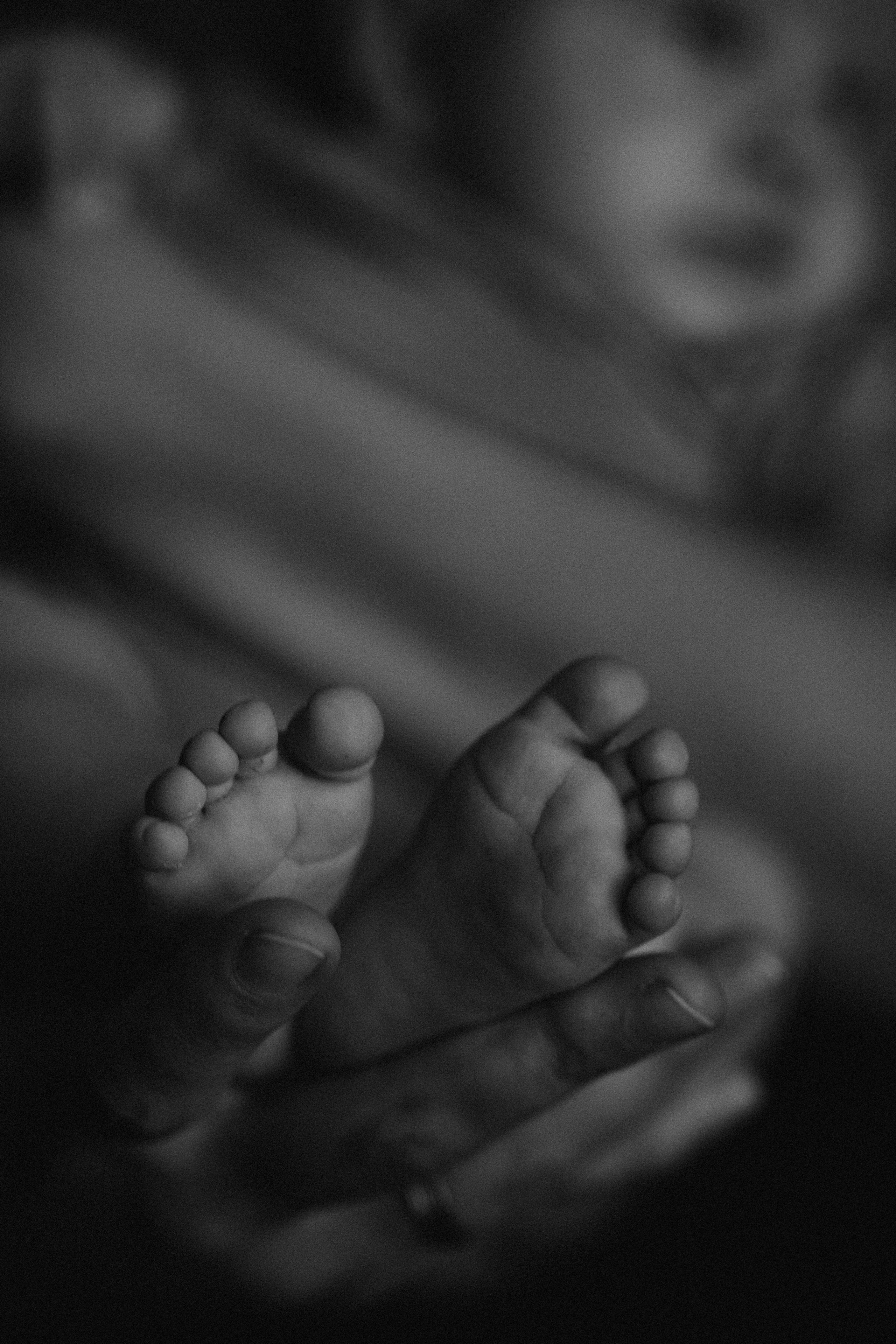 Better at Home. Fotografa documental de familia e nascimento em Florianópolis SC Daria Ermolaev