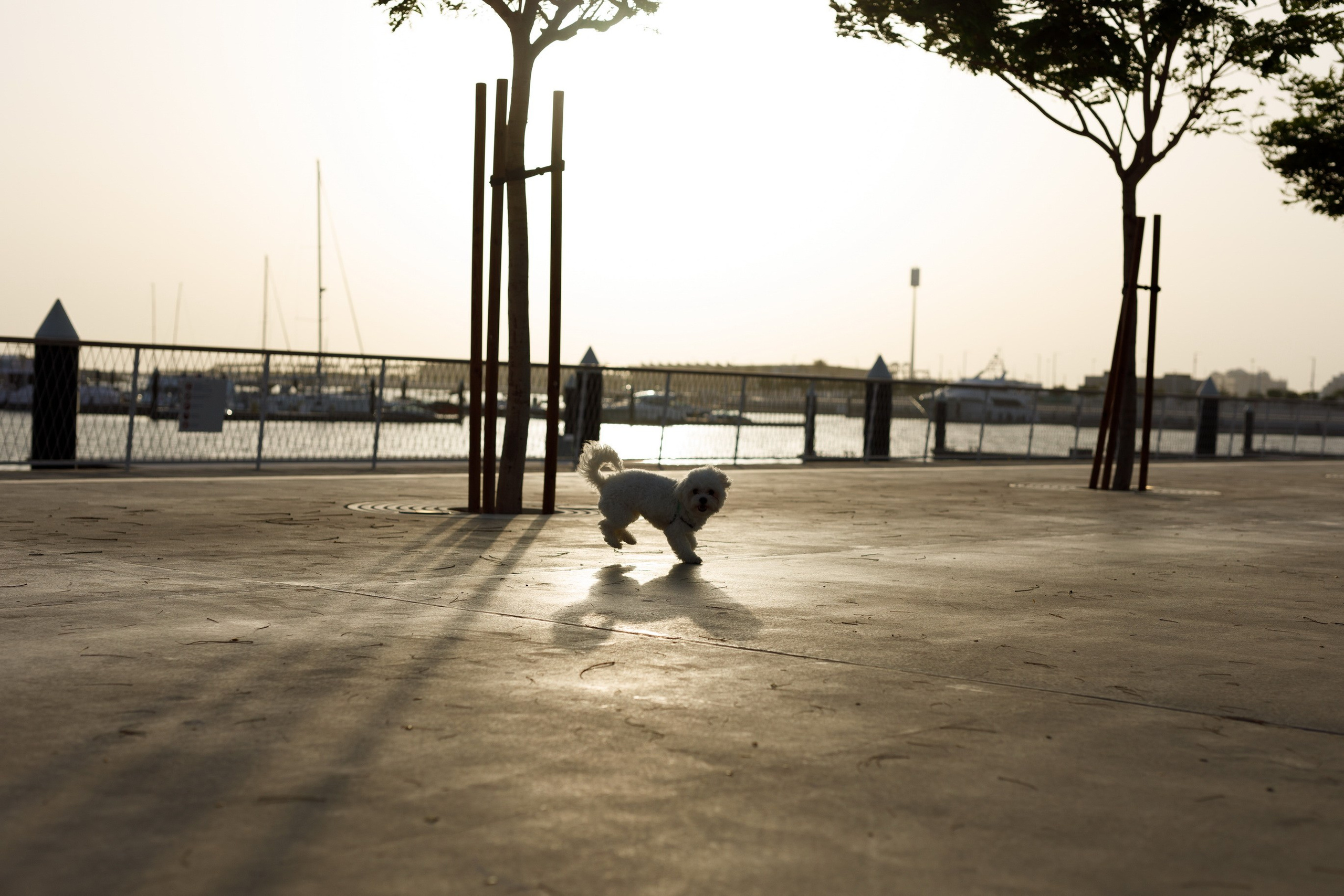 Dubai street style. Photographer Anna Curly | Weddings and Events in Dubai