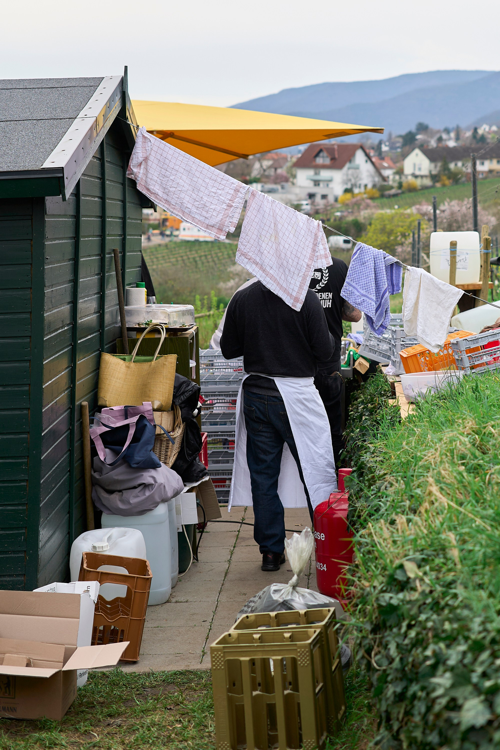 Mandelblütenfest (Gimmeldingen) 2024. Aleksandr Steinbrenner | Streetfotografie
