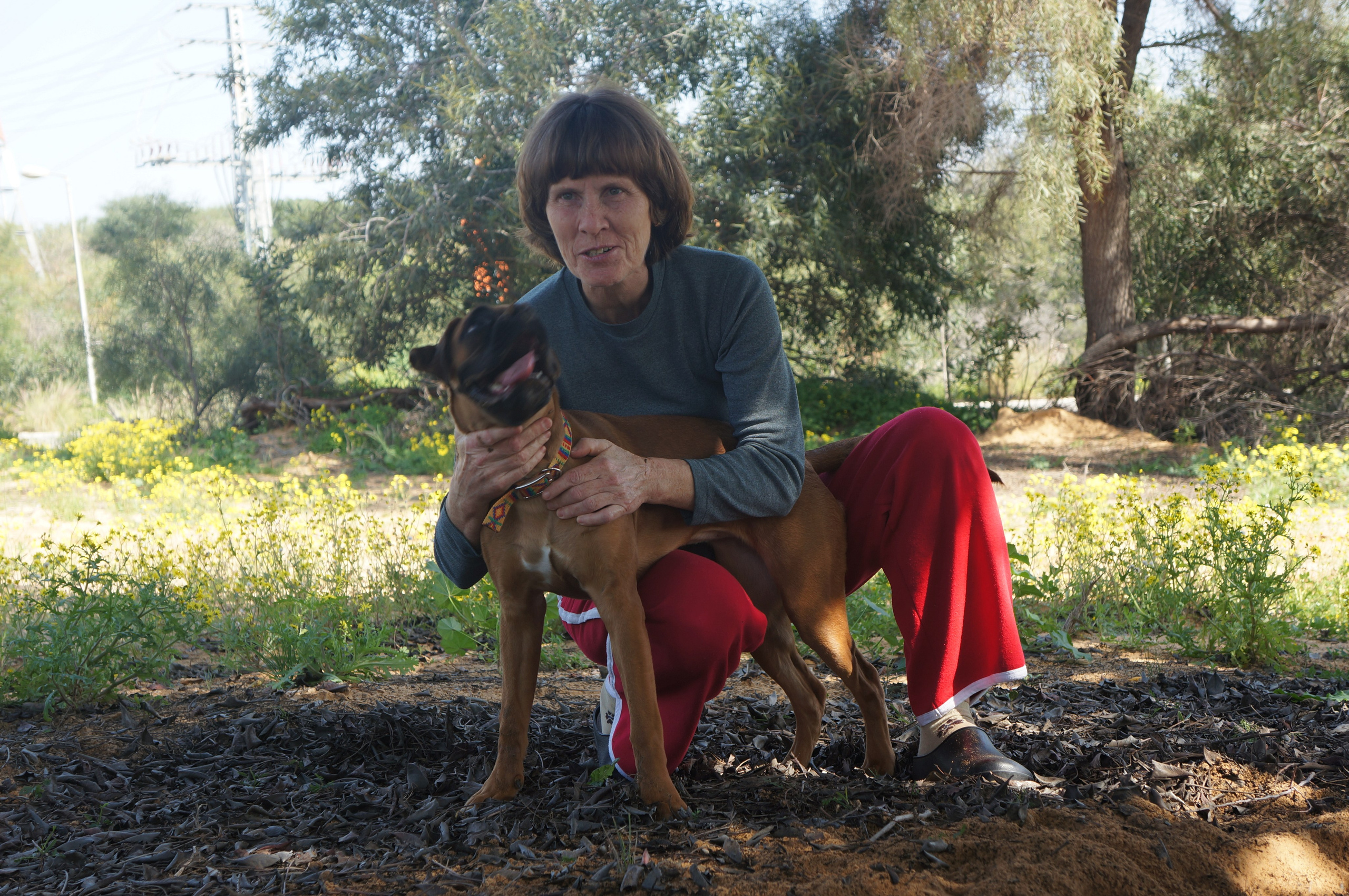 My ״Star״ Boxer Dog