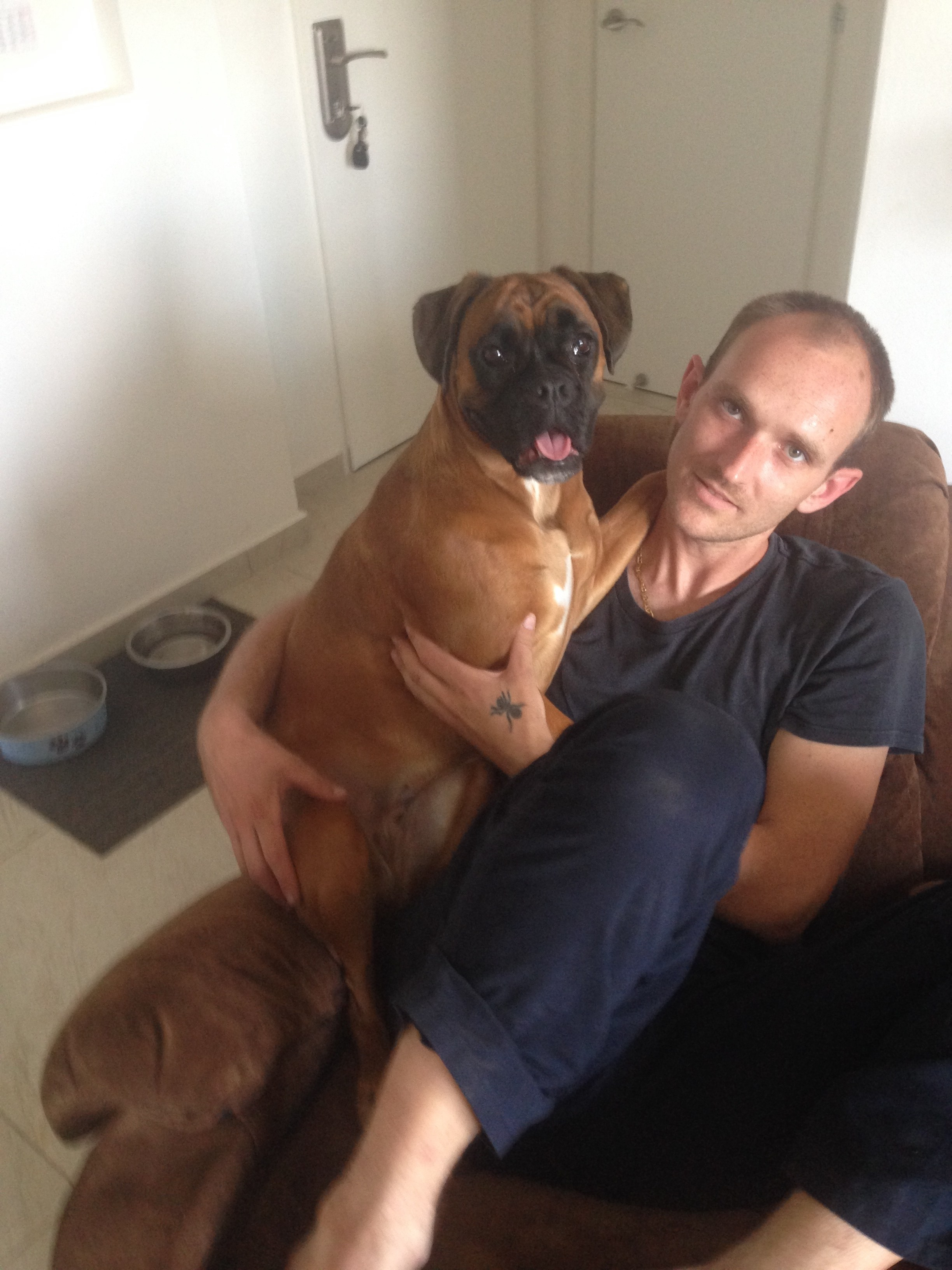 My ״Star״ Boxer Dog