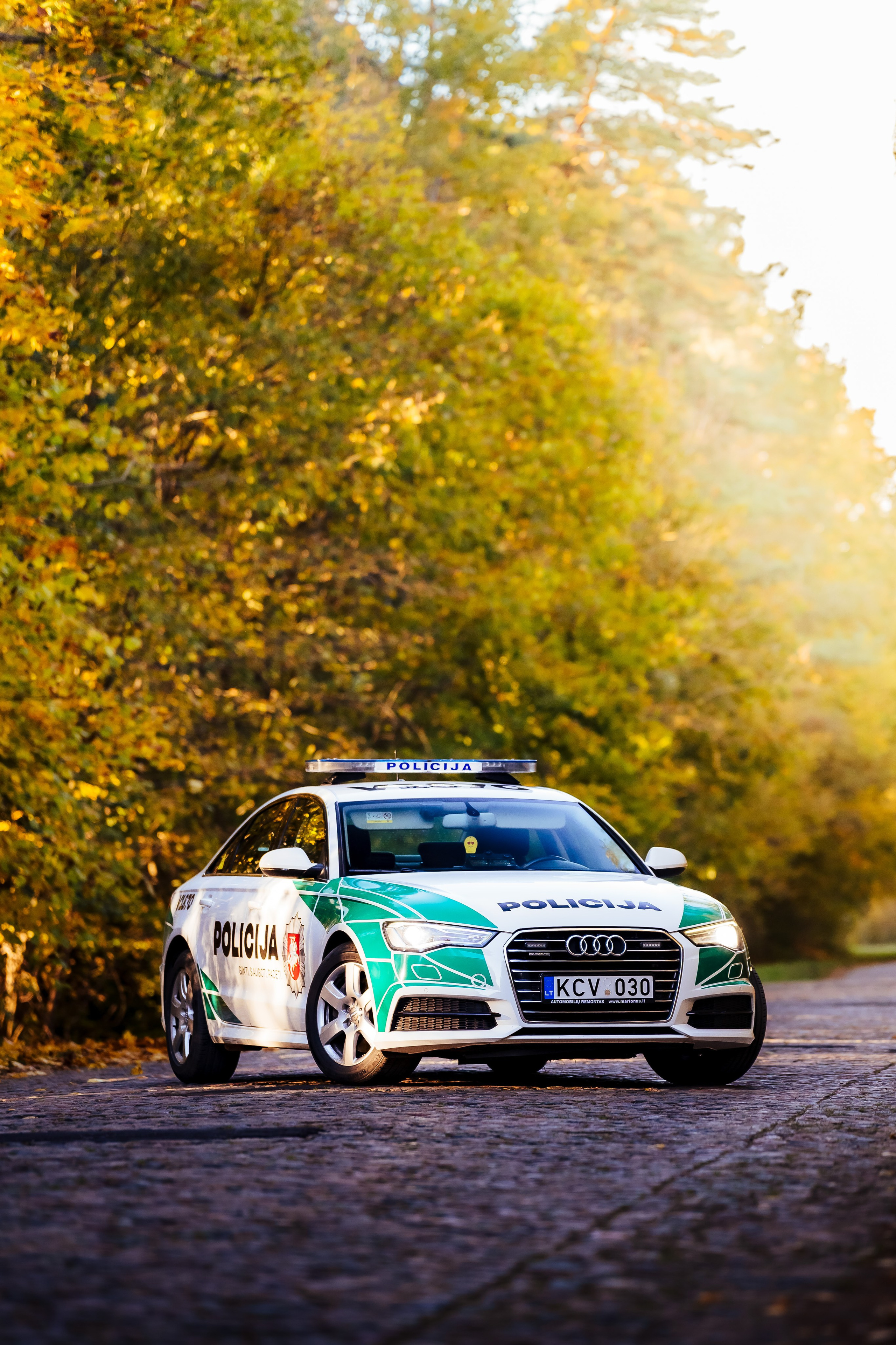 Police Cars. OnePIXEL