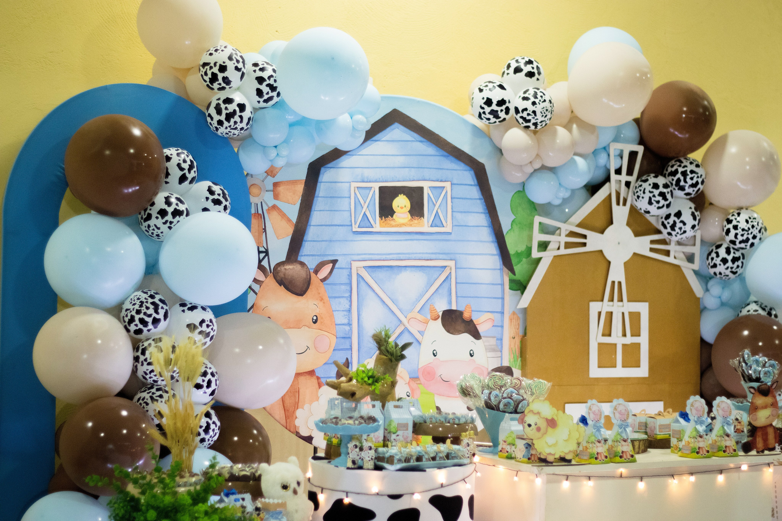 Eventos. FOTÓGRAFA | GOIÂNIA