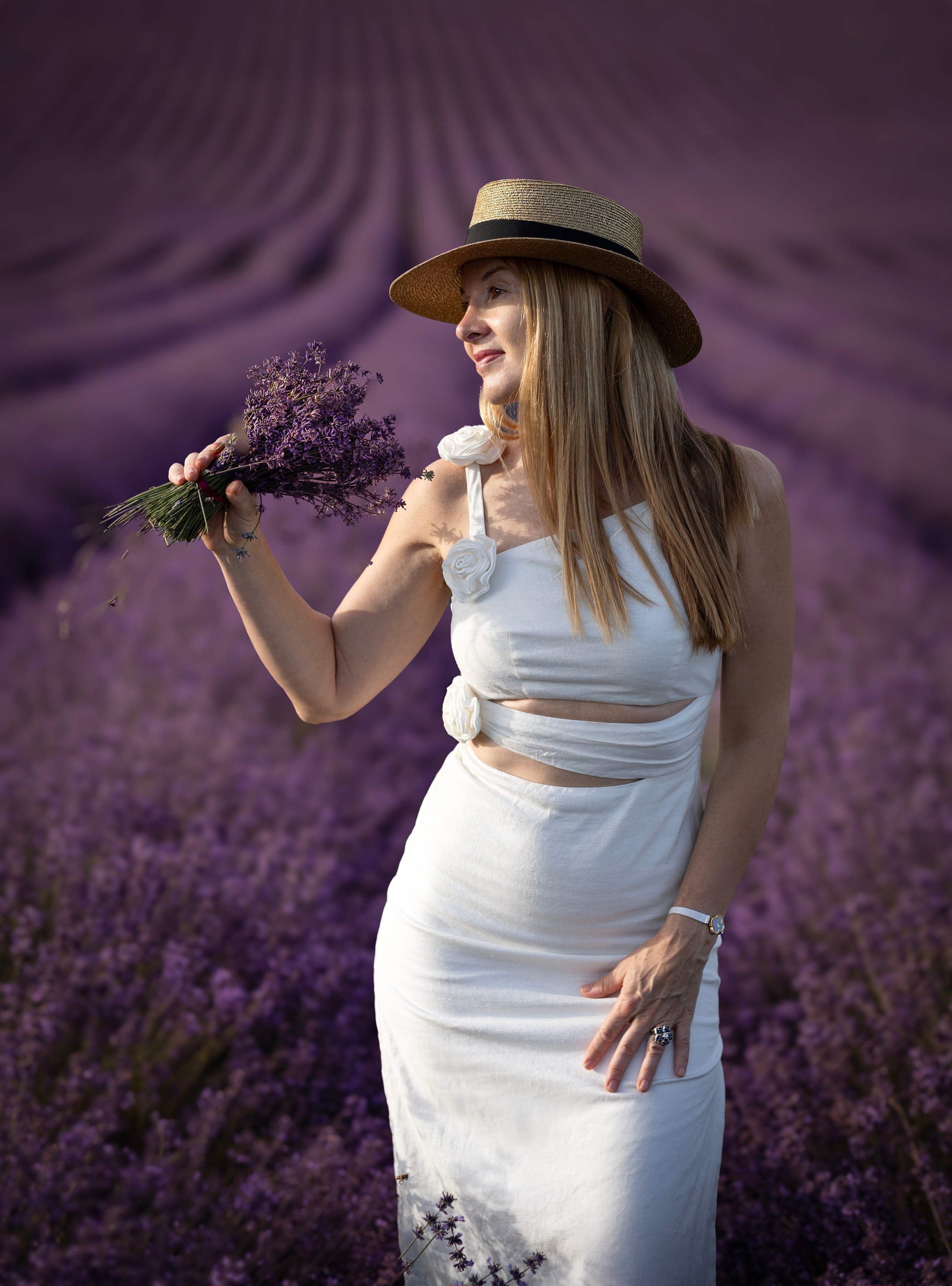 Lavendel. Photographer in Munich