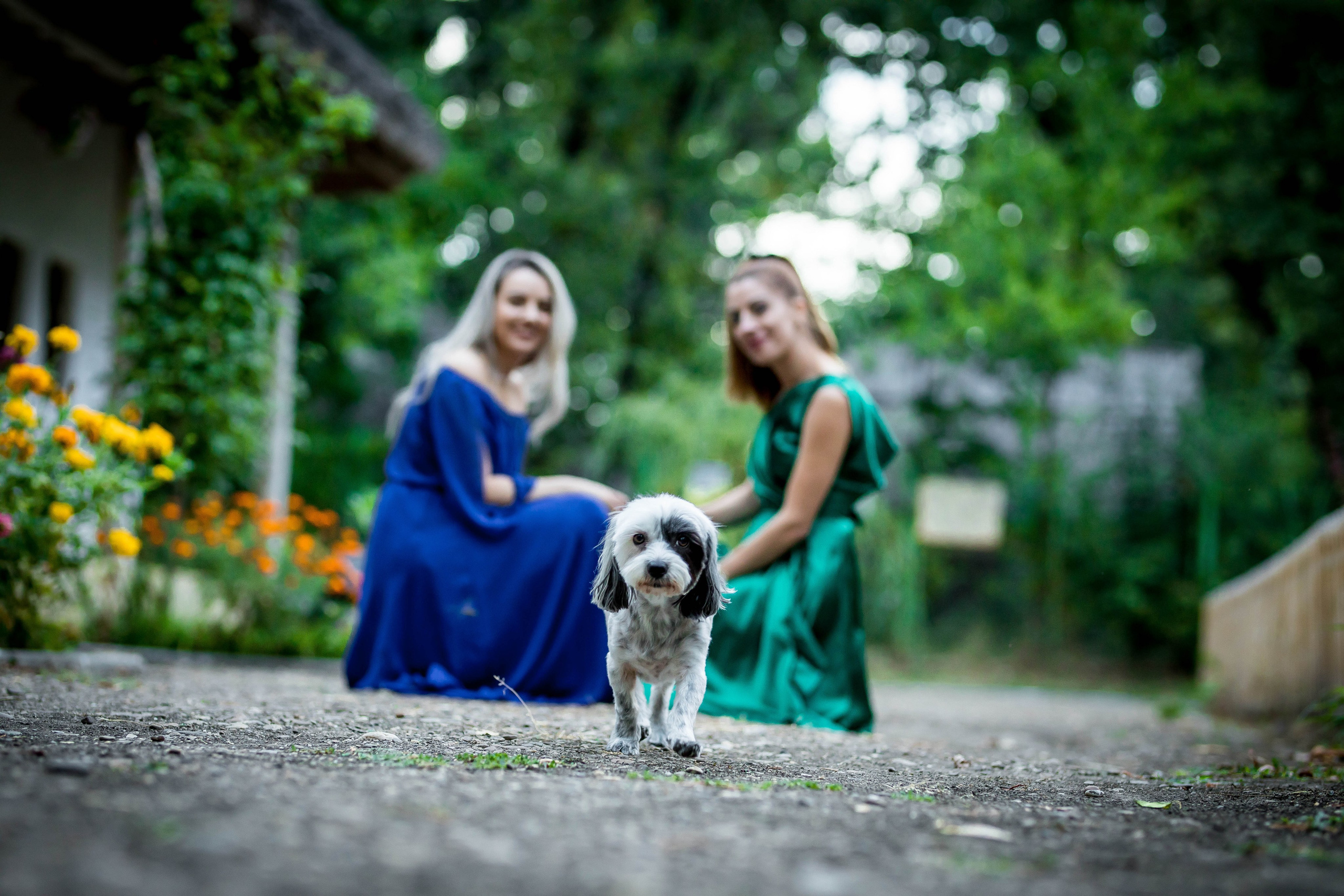 PreWedding. Dream Studio Galați – ședințe foto profesionale pentru familie, portrete și evenimente