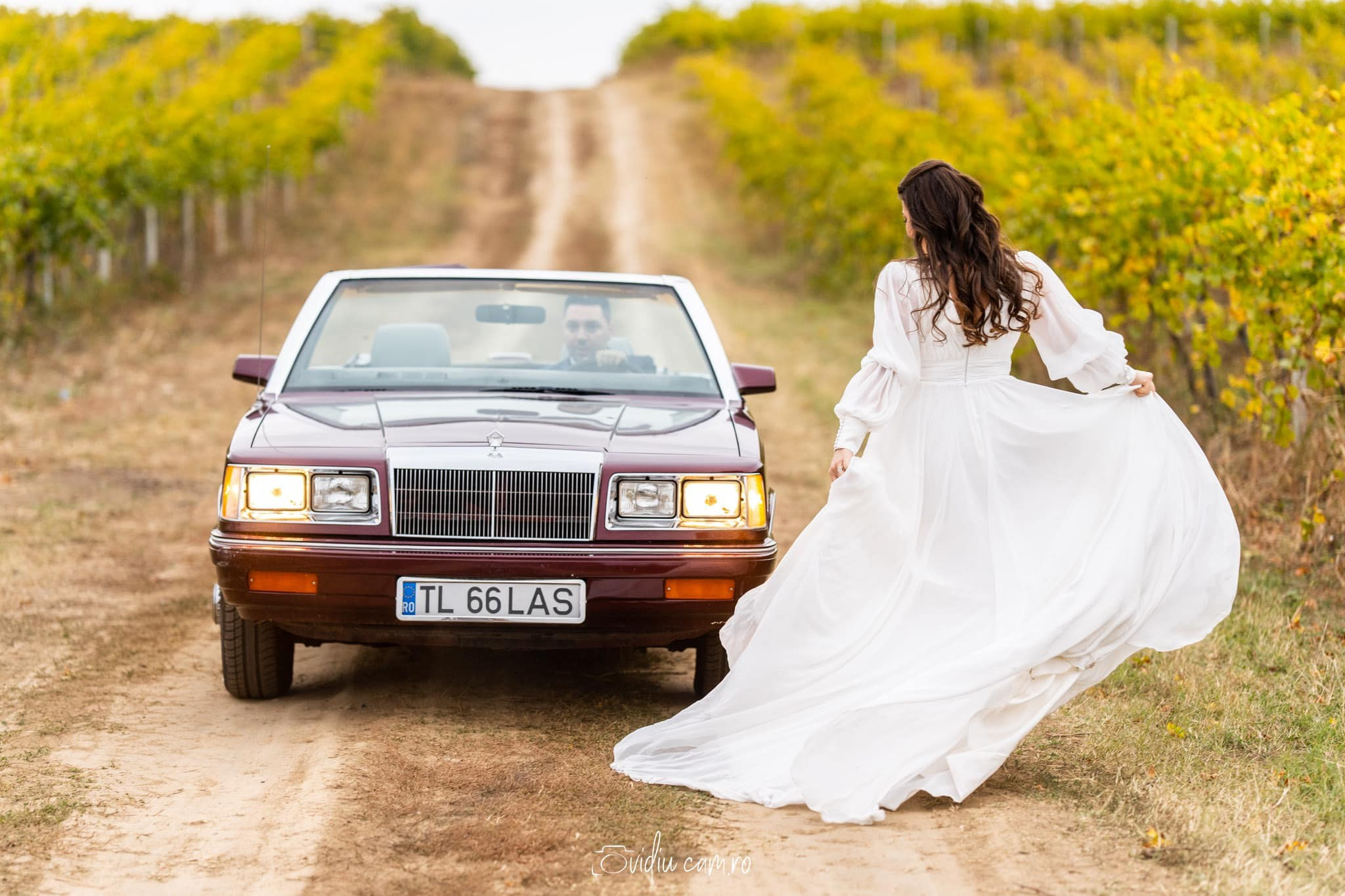 Nunta. Fotograf de Nunta