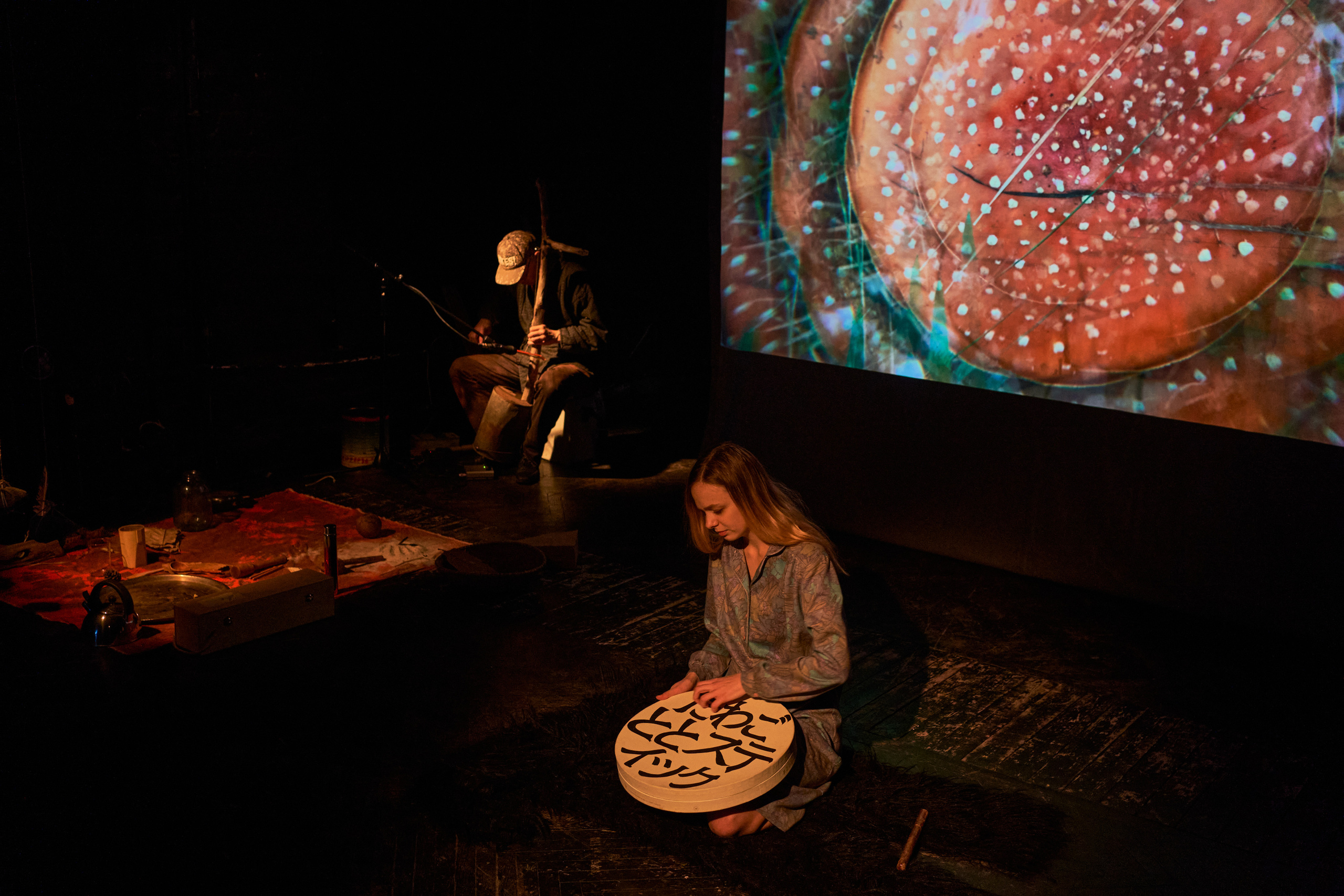 Forest. Mushrooms. Singularity Film