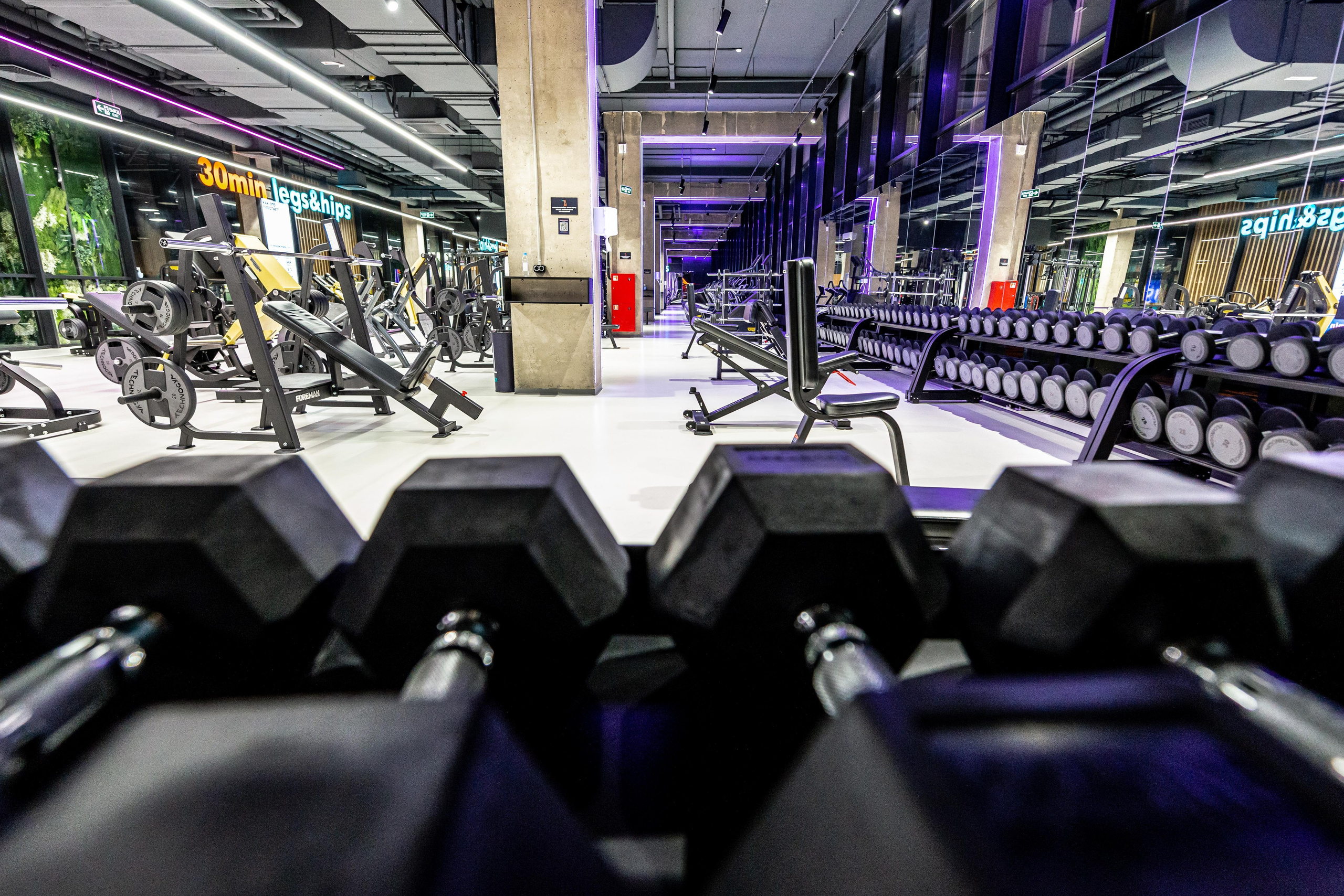 Фитнес-клуб DDX Fitness в Жулебино. ФОТОГРАФ МЕКСИКА КИНТАНА-РОО