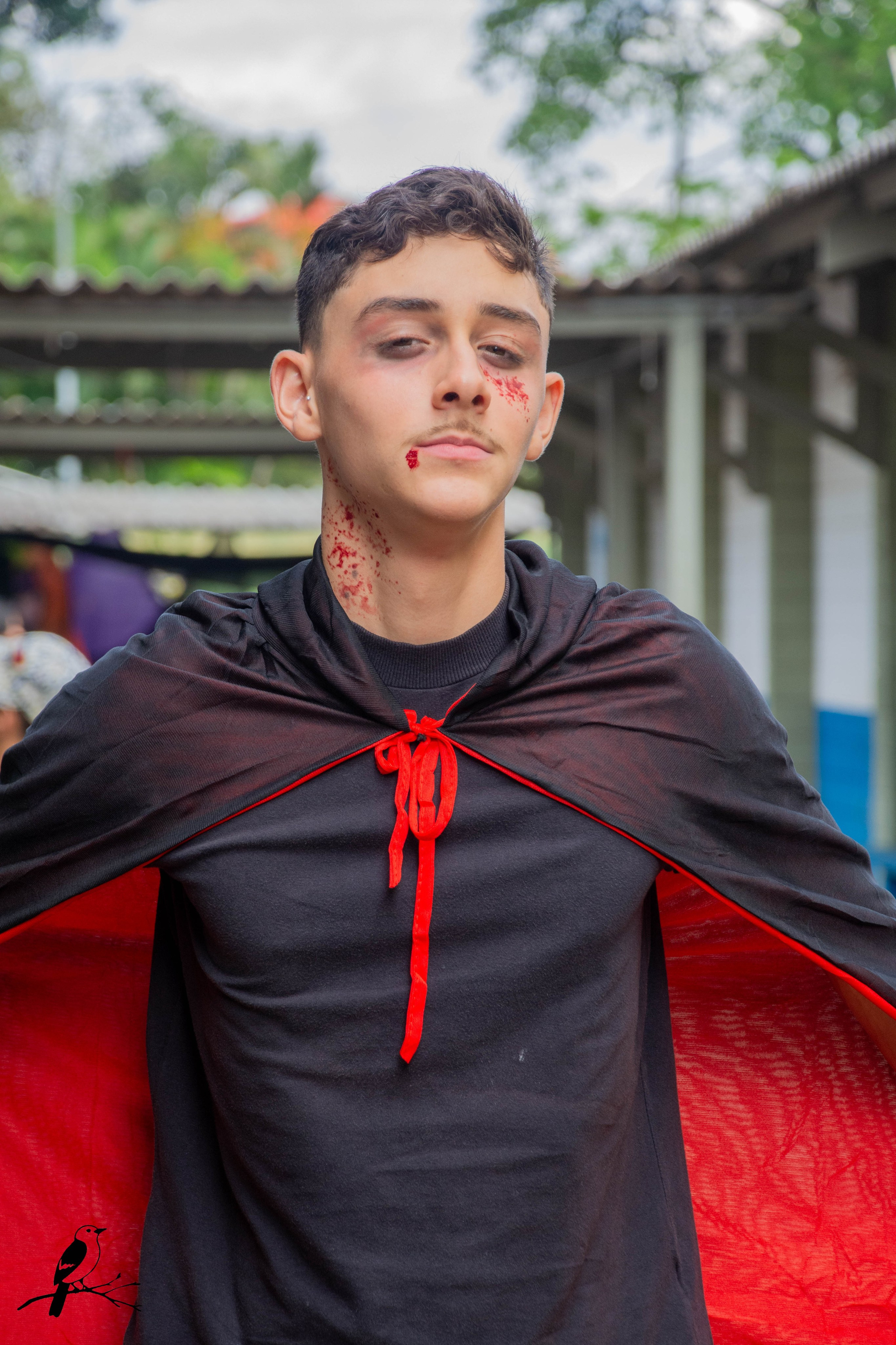 Festa Halloween. AerobirdStudios