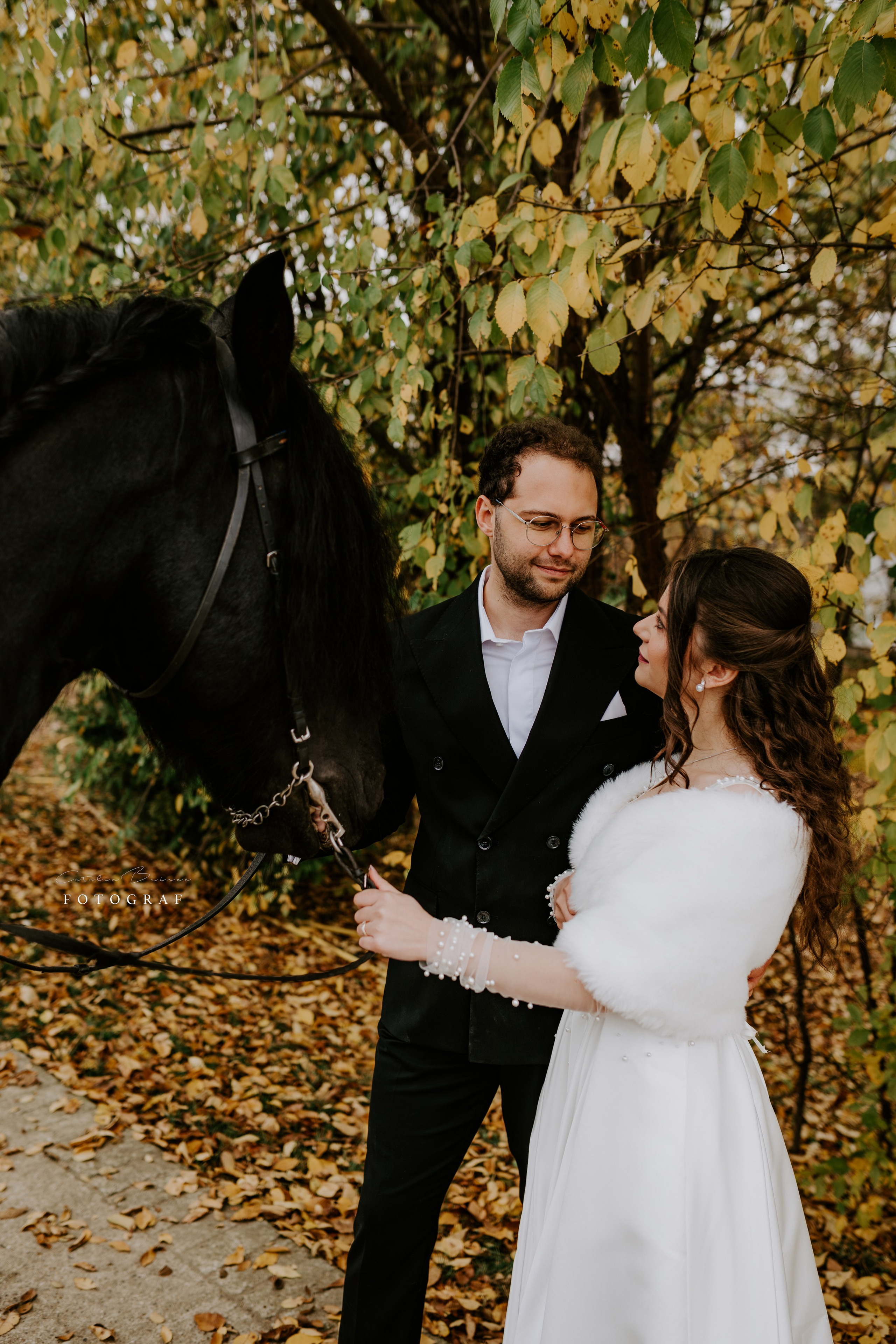 TTD — Ioana&Stefan. Catalin Brinza