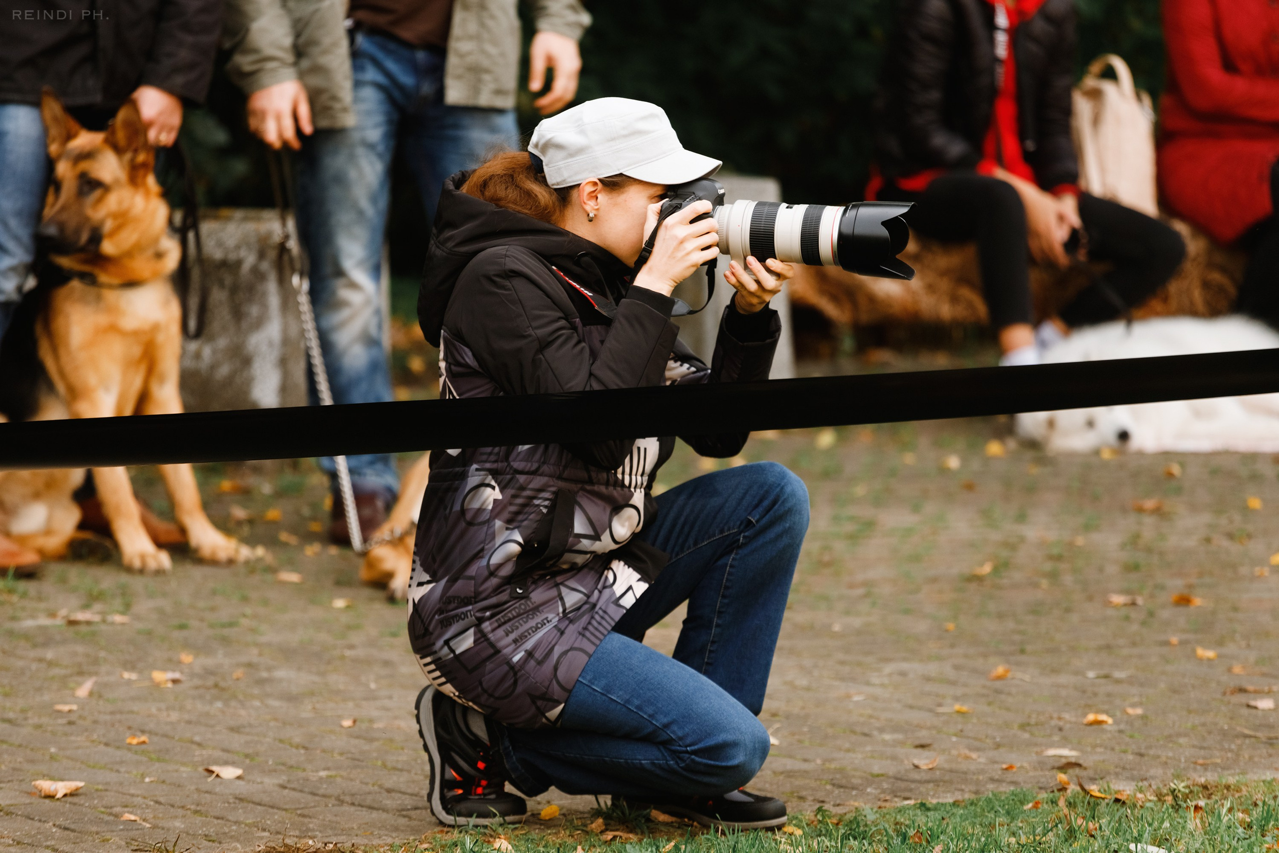 «Argus» dog show in Brest. Kaja | fotograf we Wrocławiu | ludzie i psy