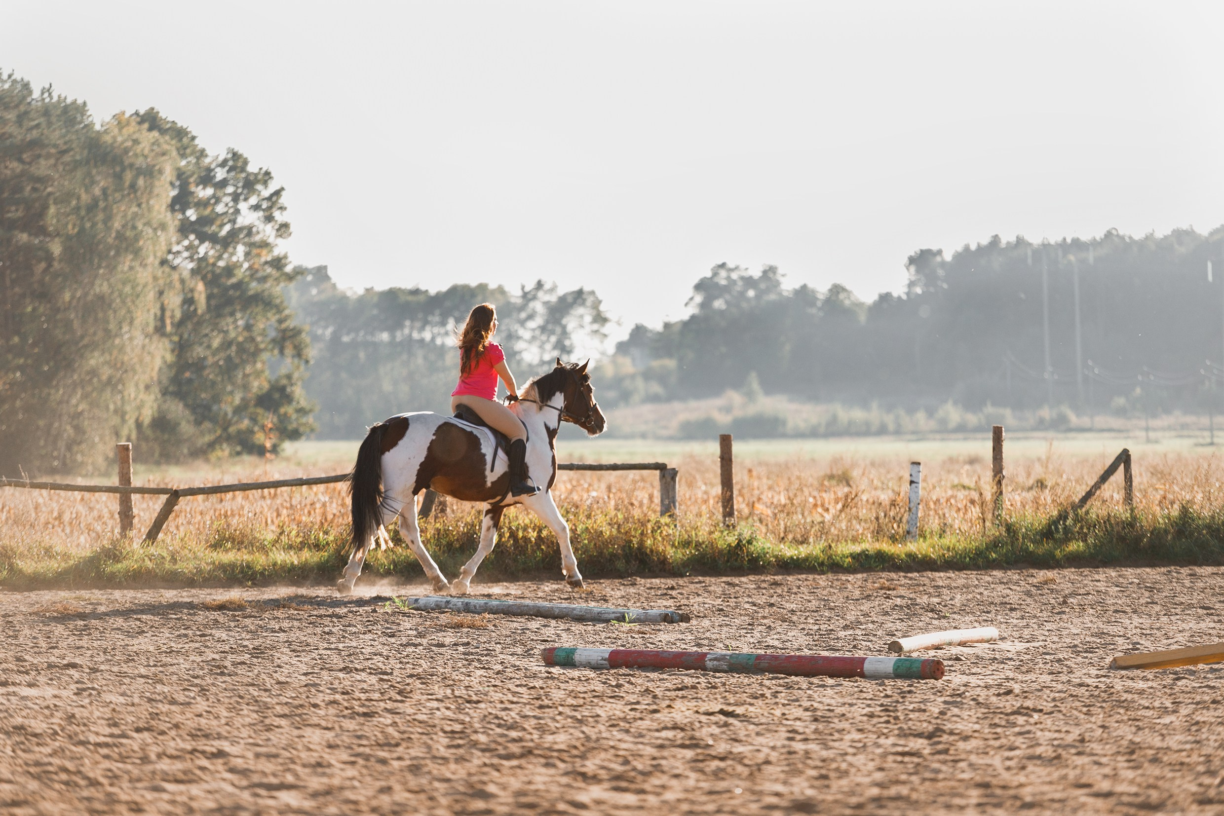 Pegas & Maximus | portrait shooting. Kaja | fotograf we Wrocławiu | ludzie i psy