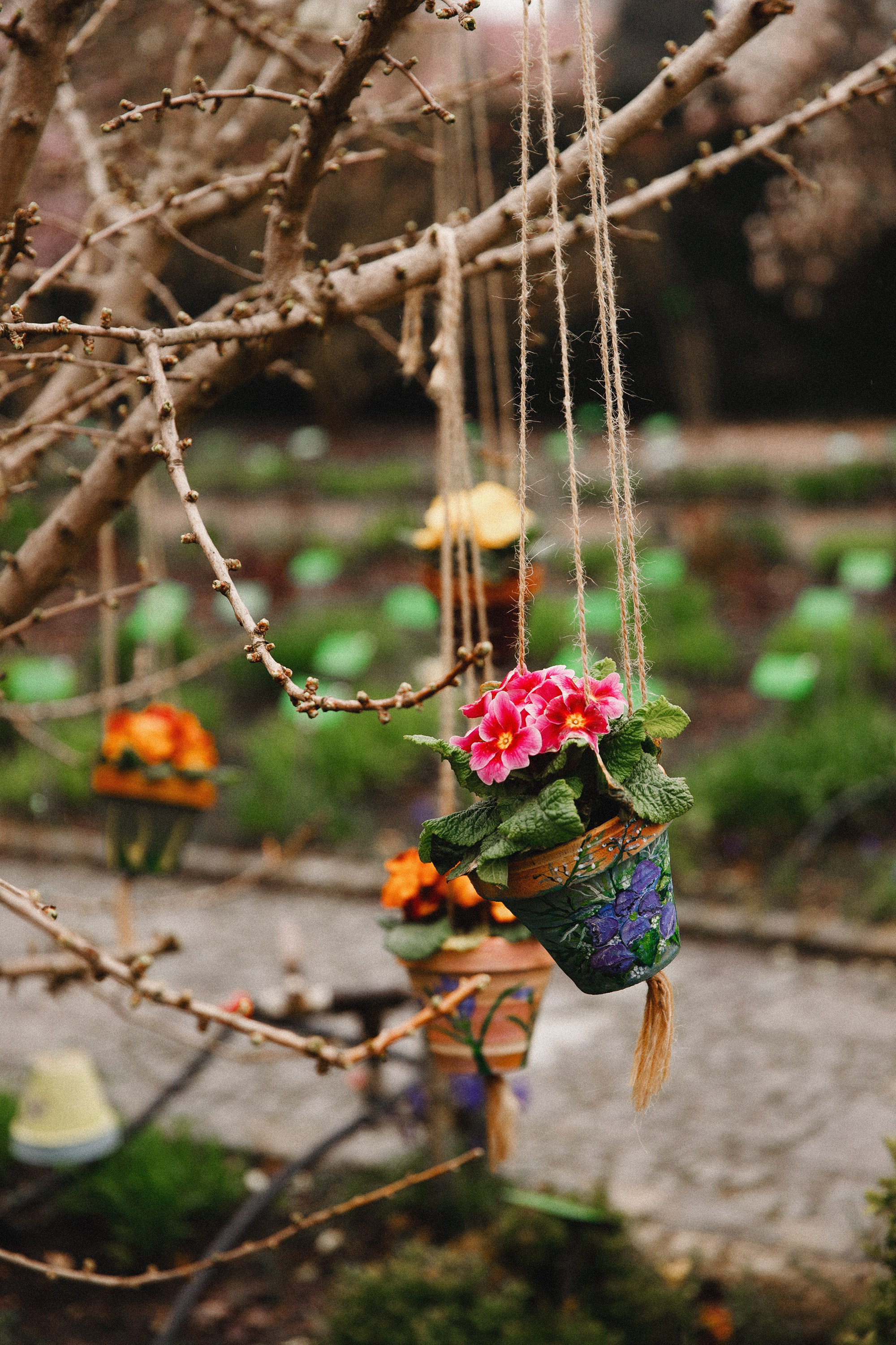 Botanical garden in Wroclaw. Kaja | fotograf we Wrocławiu | ludzie i psy